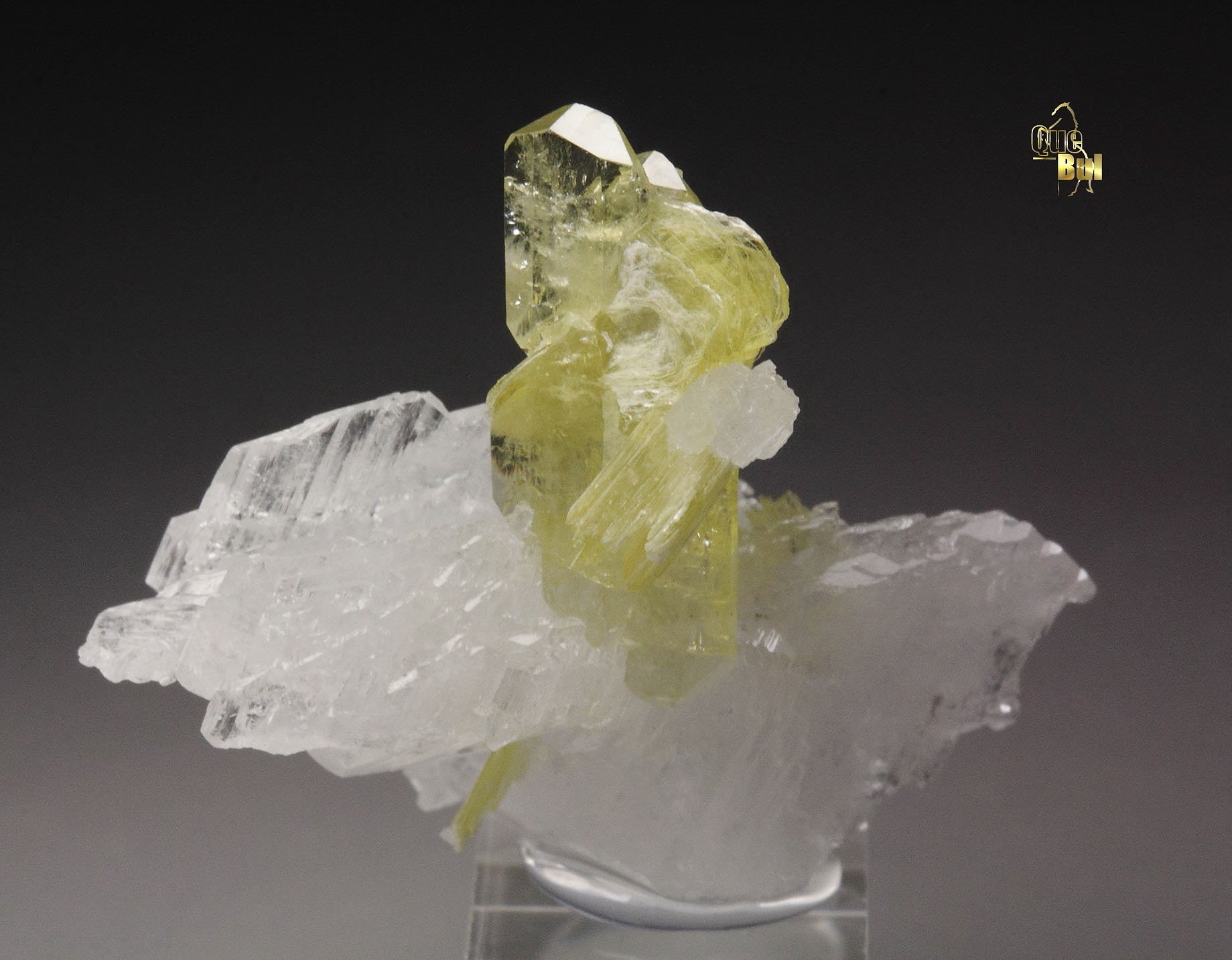 gem BRAZILIANITE, ALBITE, MUSCOVITE