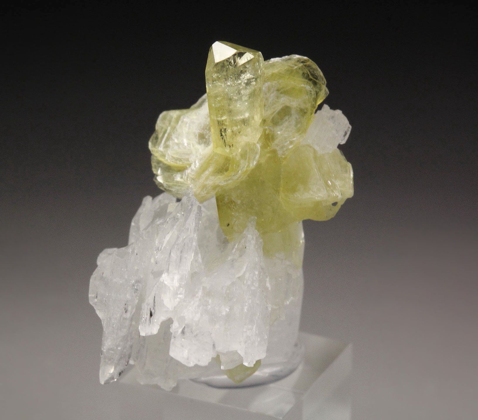 gem BRAZILIANITE, ALBITE, MUSCOVITE