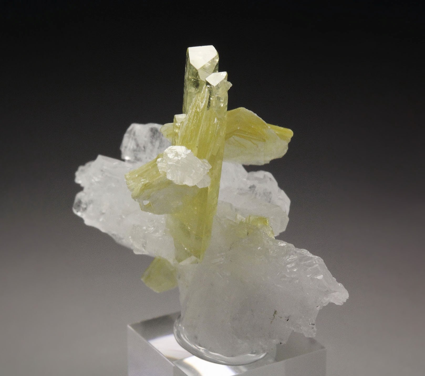 gem BRAZILIANITE, ALBITE, MUSCOVITE