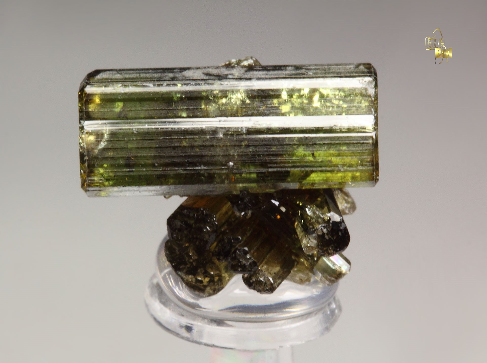 gemmy VESUVIANITE bi-terminated