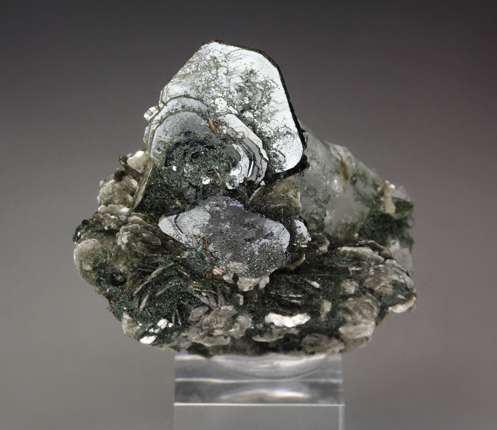 HEMATITE var. IRON ROSE, K FELDSPAR var. ADULARIA, MUSCOVITE, RUTILE