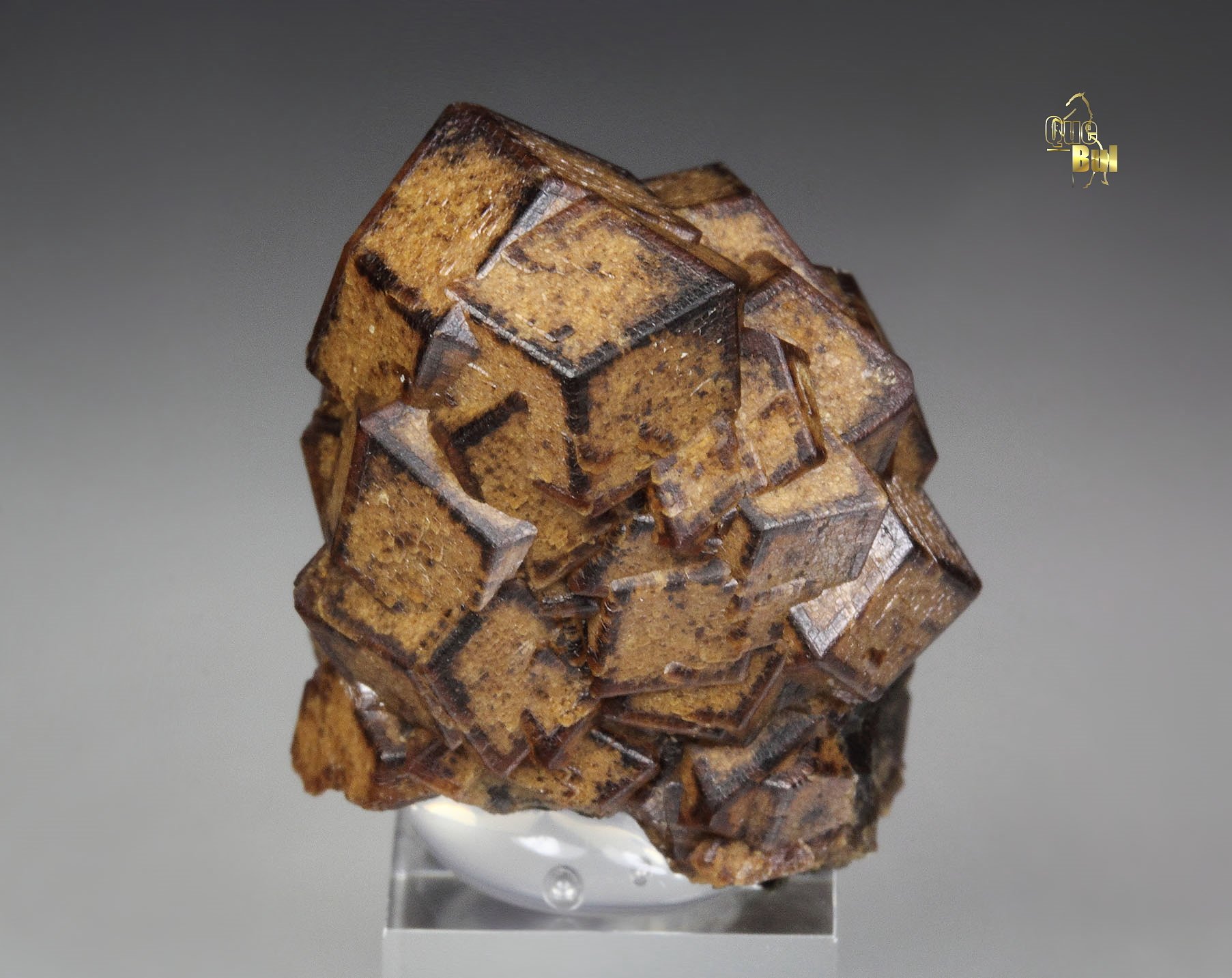 GARNET var. ANDRADITE