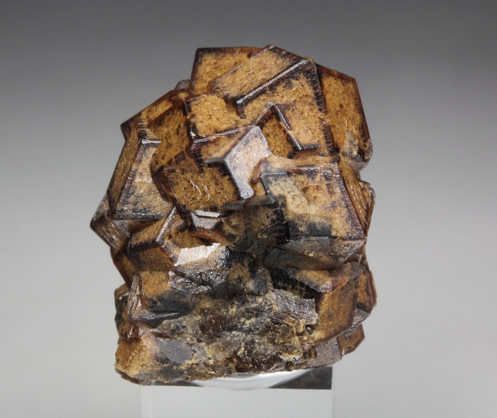 GARNET var. ANDRADITE