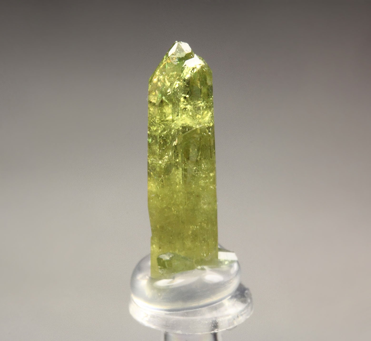 gem VESUVIANITE