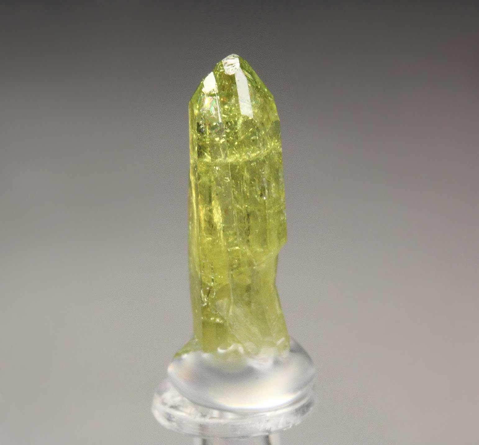 gem VESUVIANITE