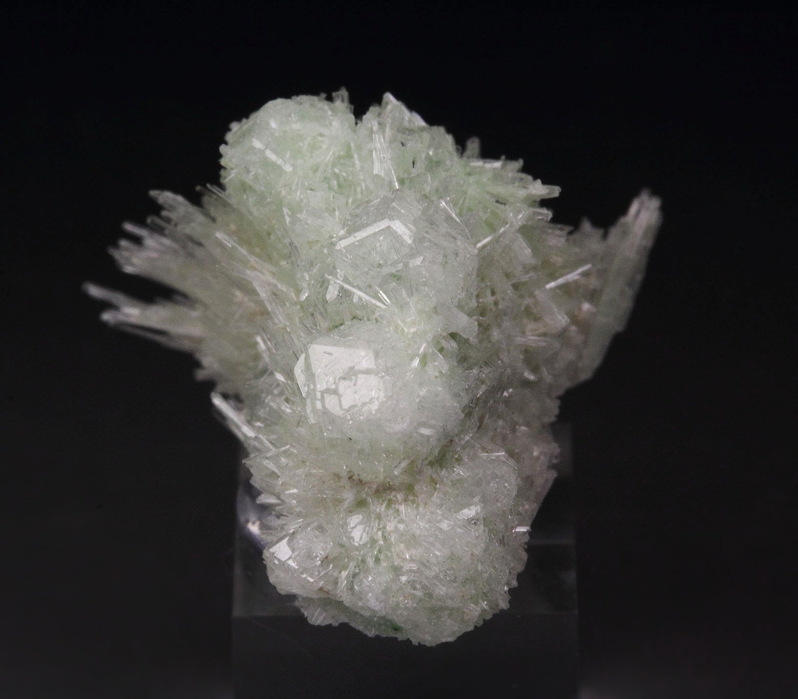 colorless gem GARNET var. GROSSULAR, DIOPSIDE