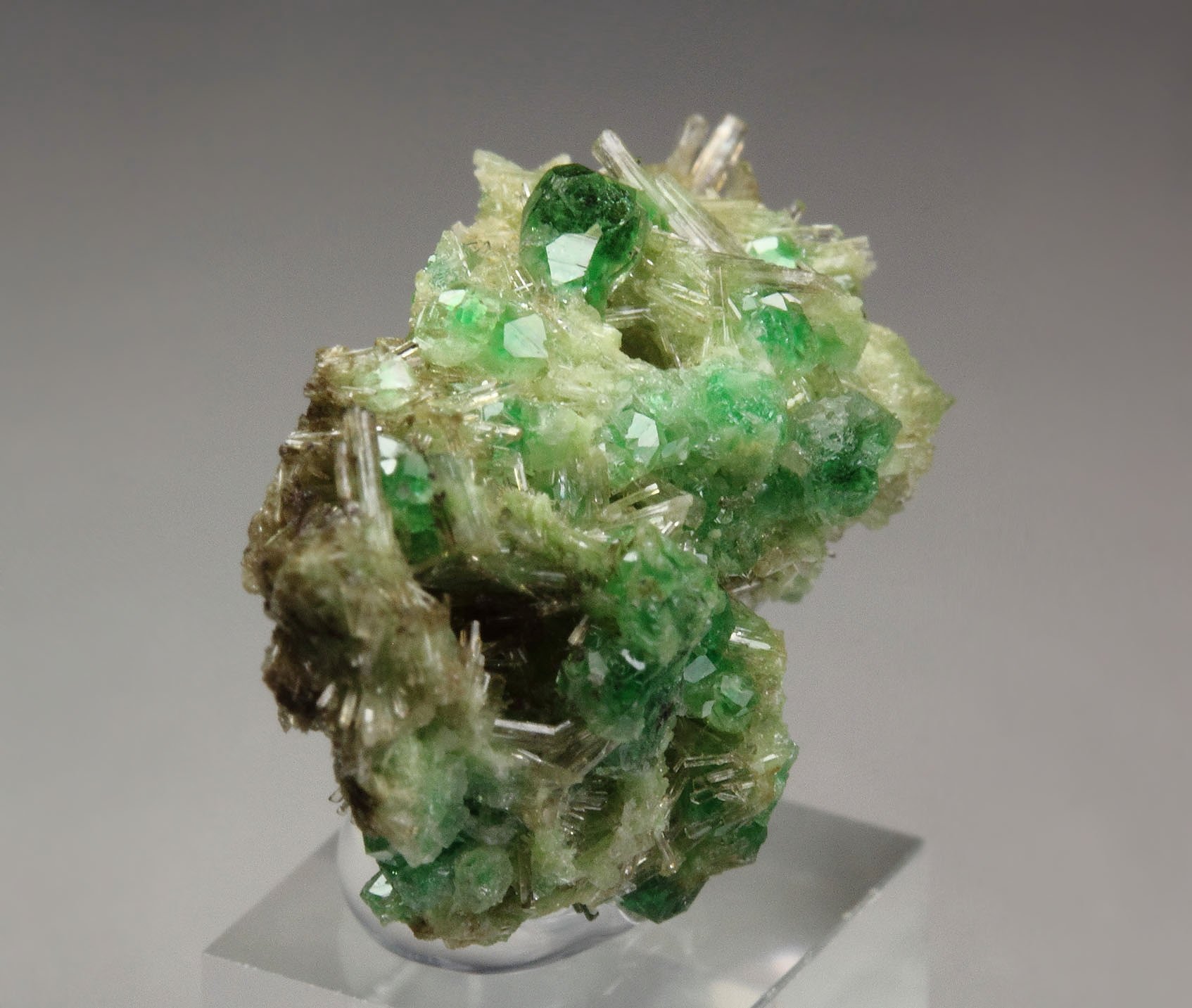 gem GARNET var. GROSSULAR with GREEN CHROMIAN PHANTOMS, DIOPSIDE