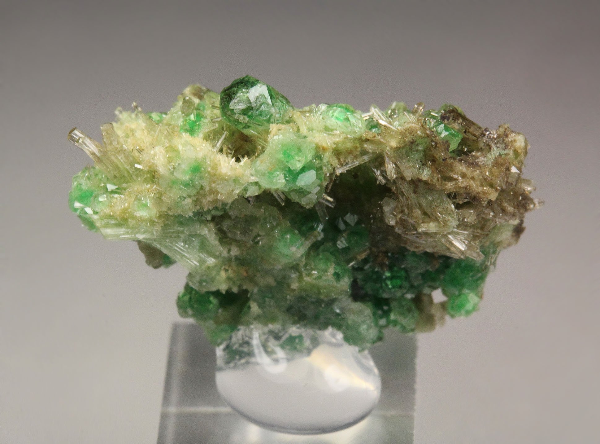 gem GARNET var. GROSSULAR with GREEN CHROMIAN PHANTOMS, DIOPSIDE