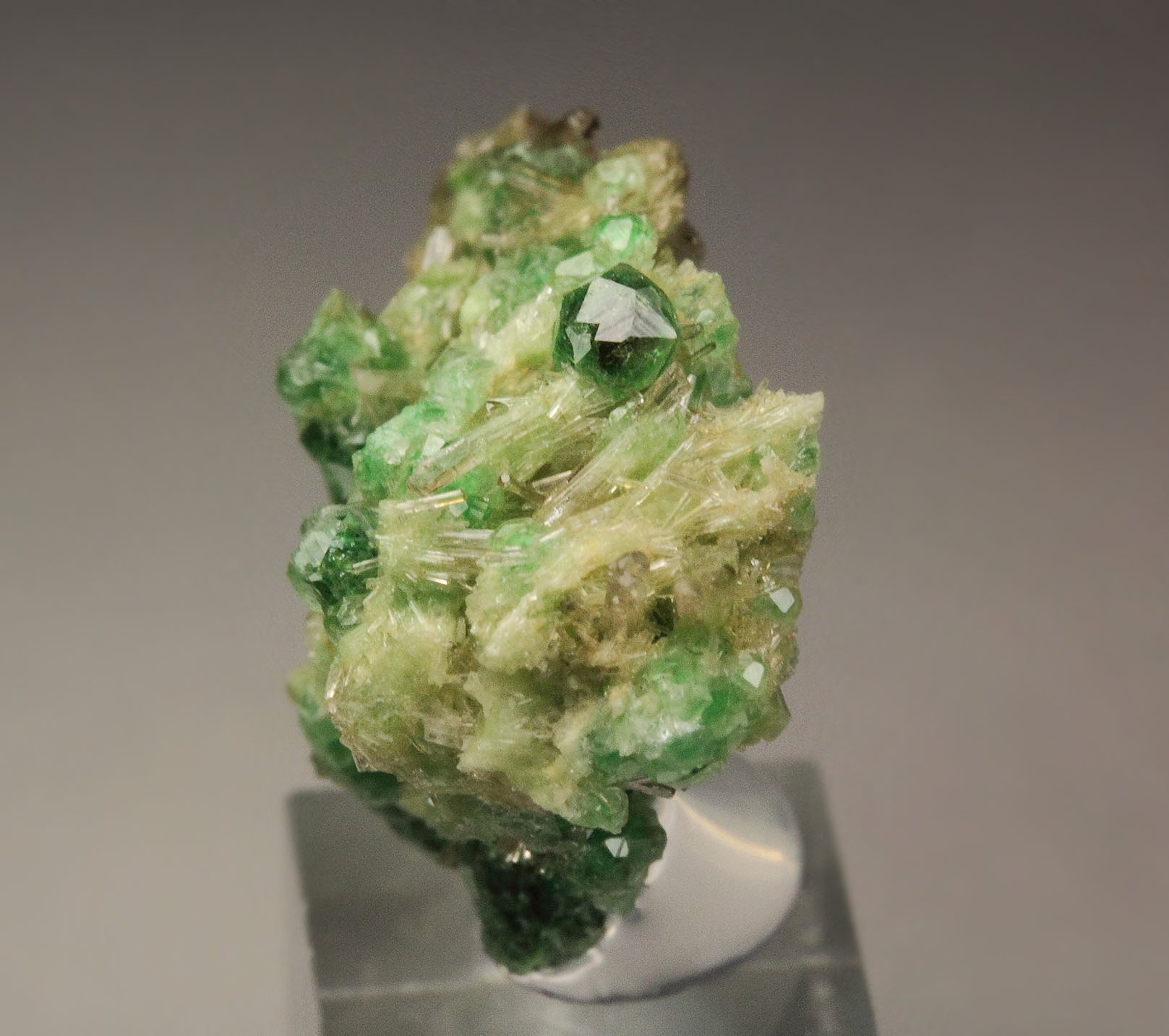 gem GARNET var. GROSSULAR with GREEN CHROMIAN PHANTOMS, DIOPSIDE