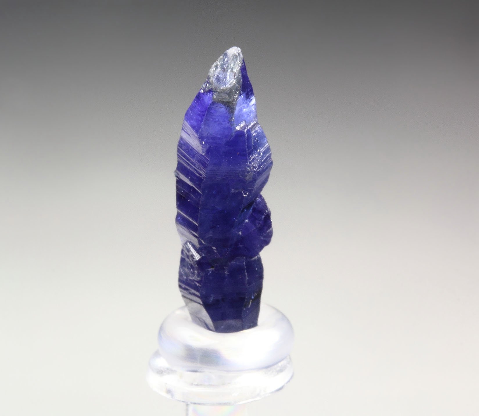 gemmy CORUNDUM var. SAPPHIRE