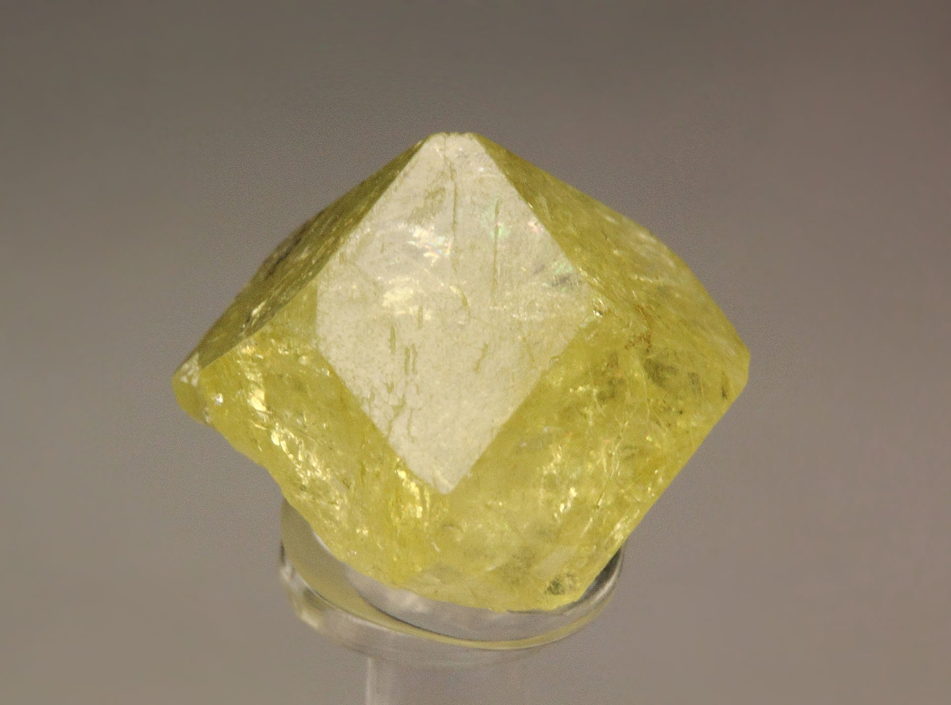 gem LONDONITE-RHODIZITE series