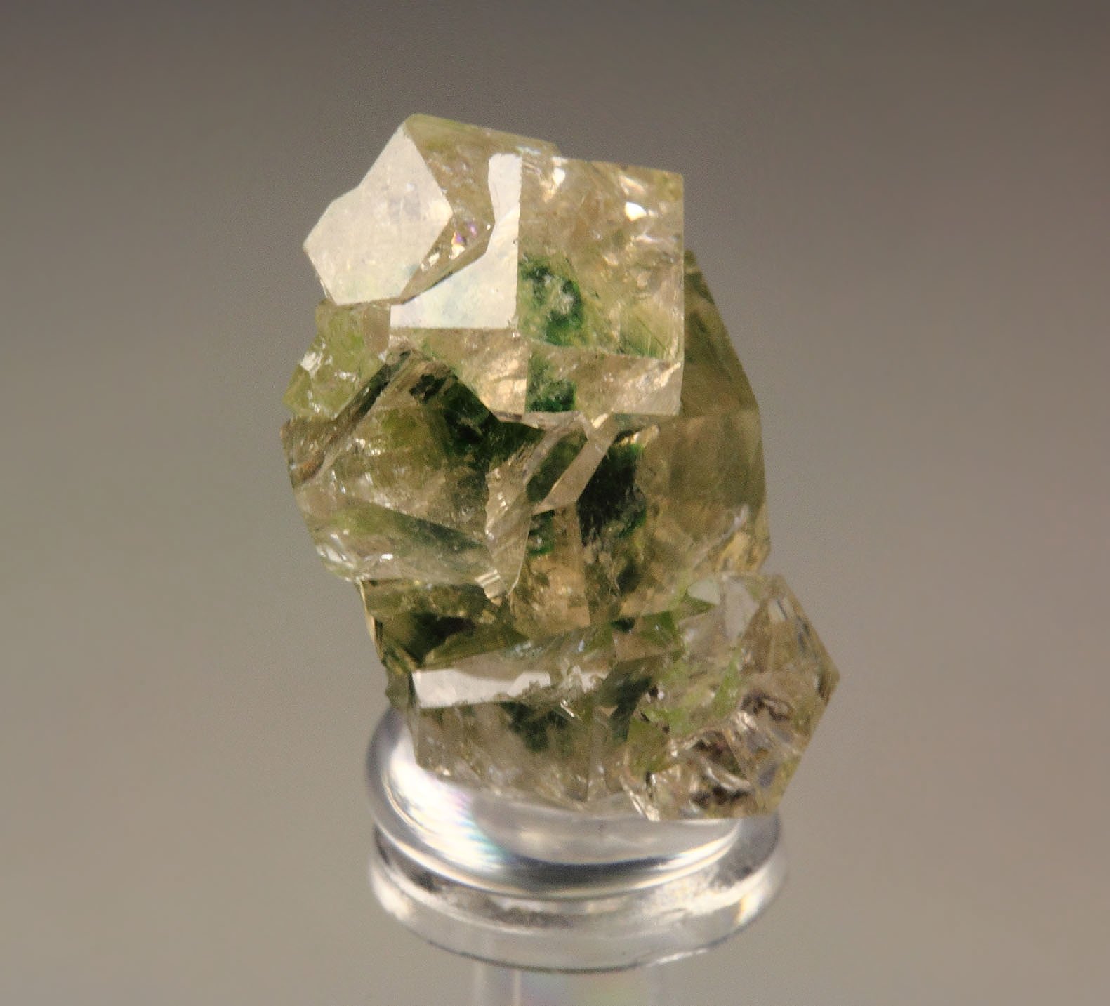 gem GARNET var. GROSSULAR with GREEN CHROMIAN PHANTOMS