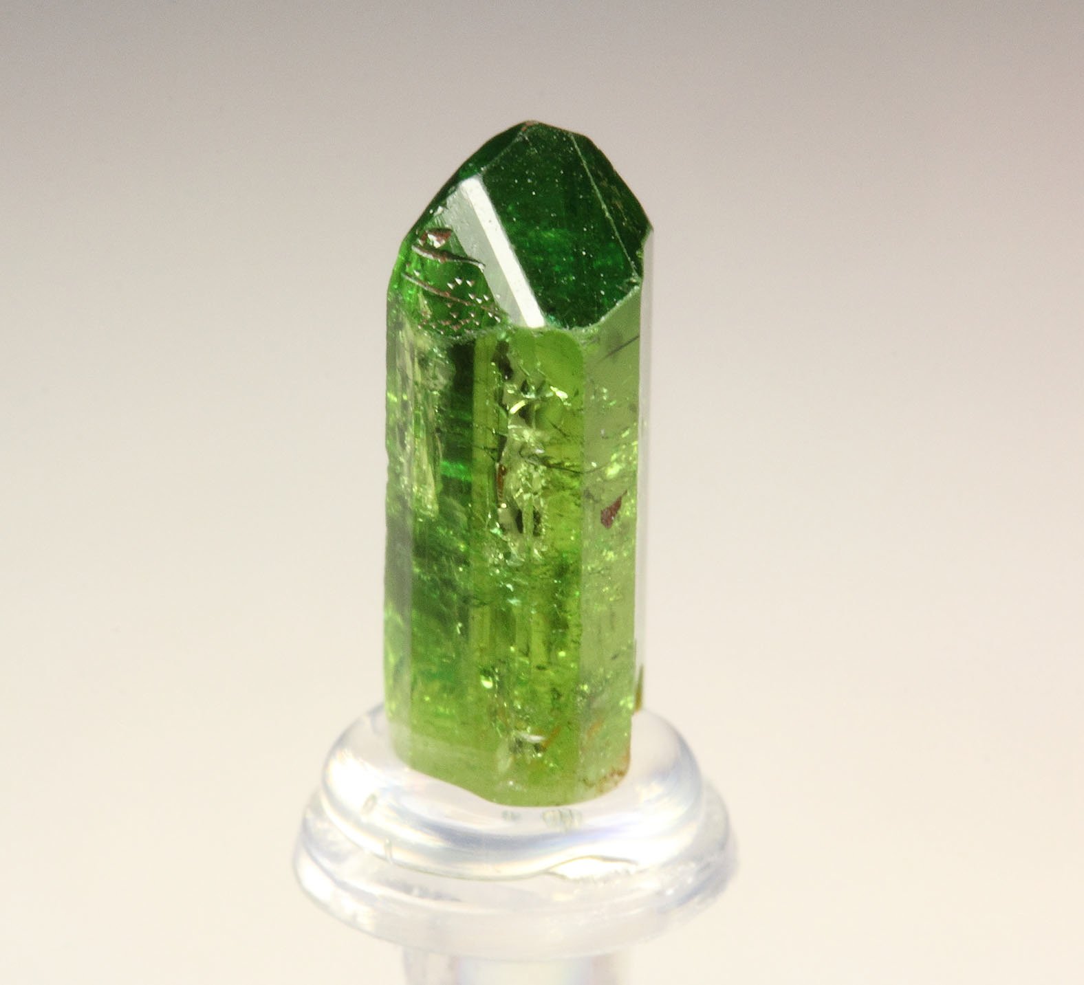 gem TOURMALINE var. DRAVITE