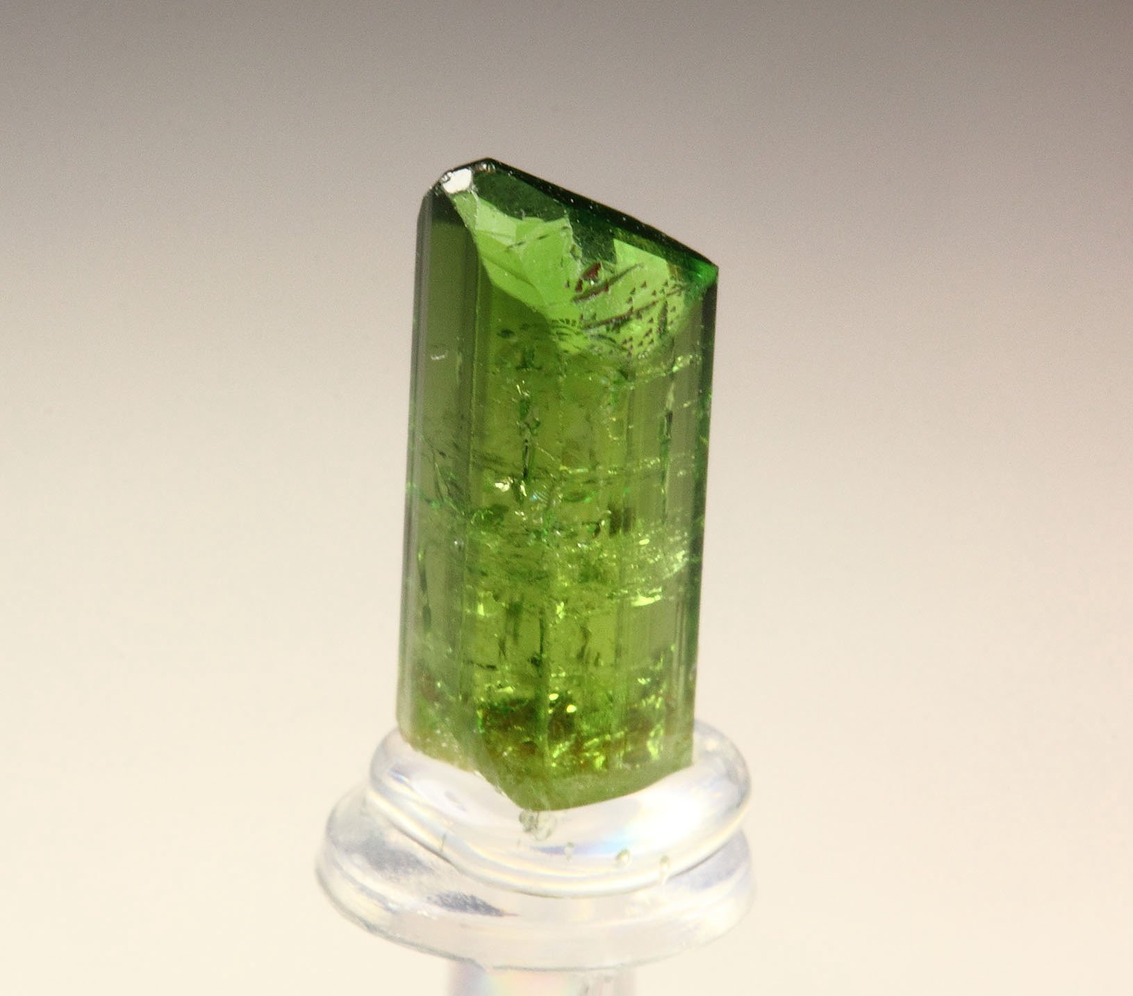 gem TOURMALINE var. DRAVITE