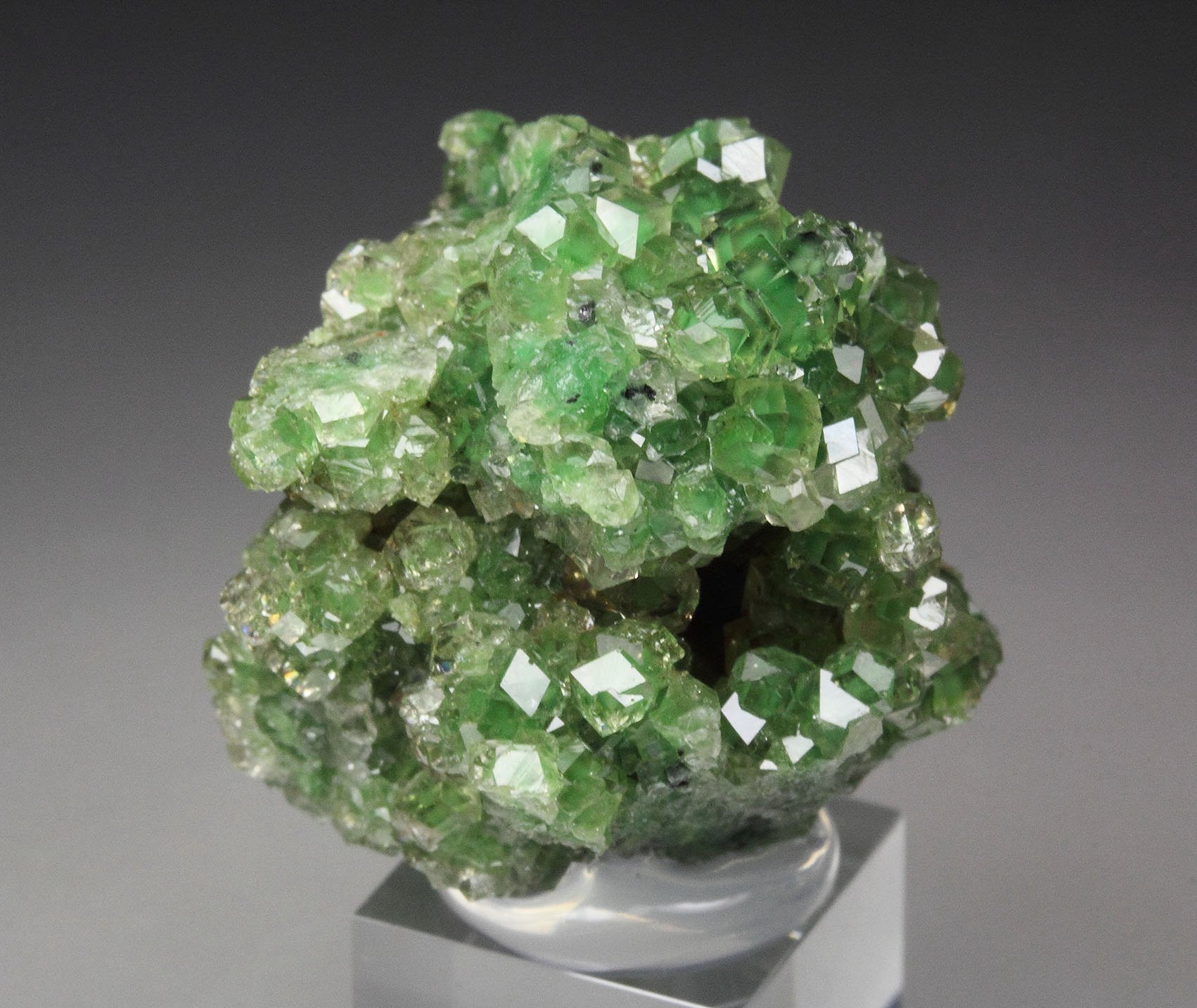 gem GARNET var. GROSSULAR with GREEN CHROMIAN PHANTOMS, CHROMITE