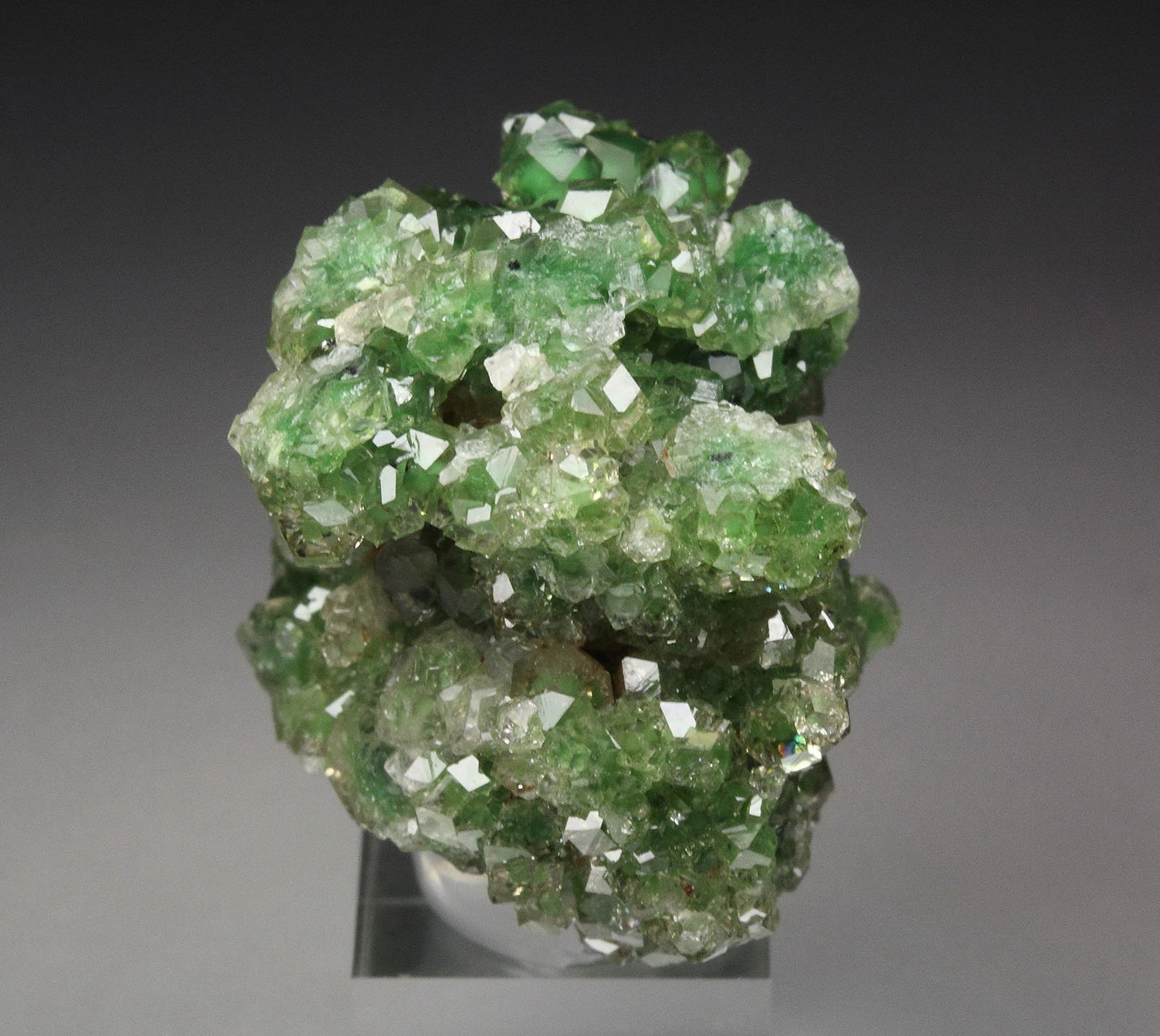 gem GARNET var. GROSSULAR with GREEN CHROMIAN PHANTOMS, CHROMITE