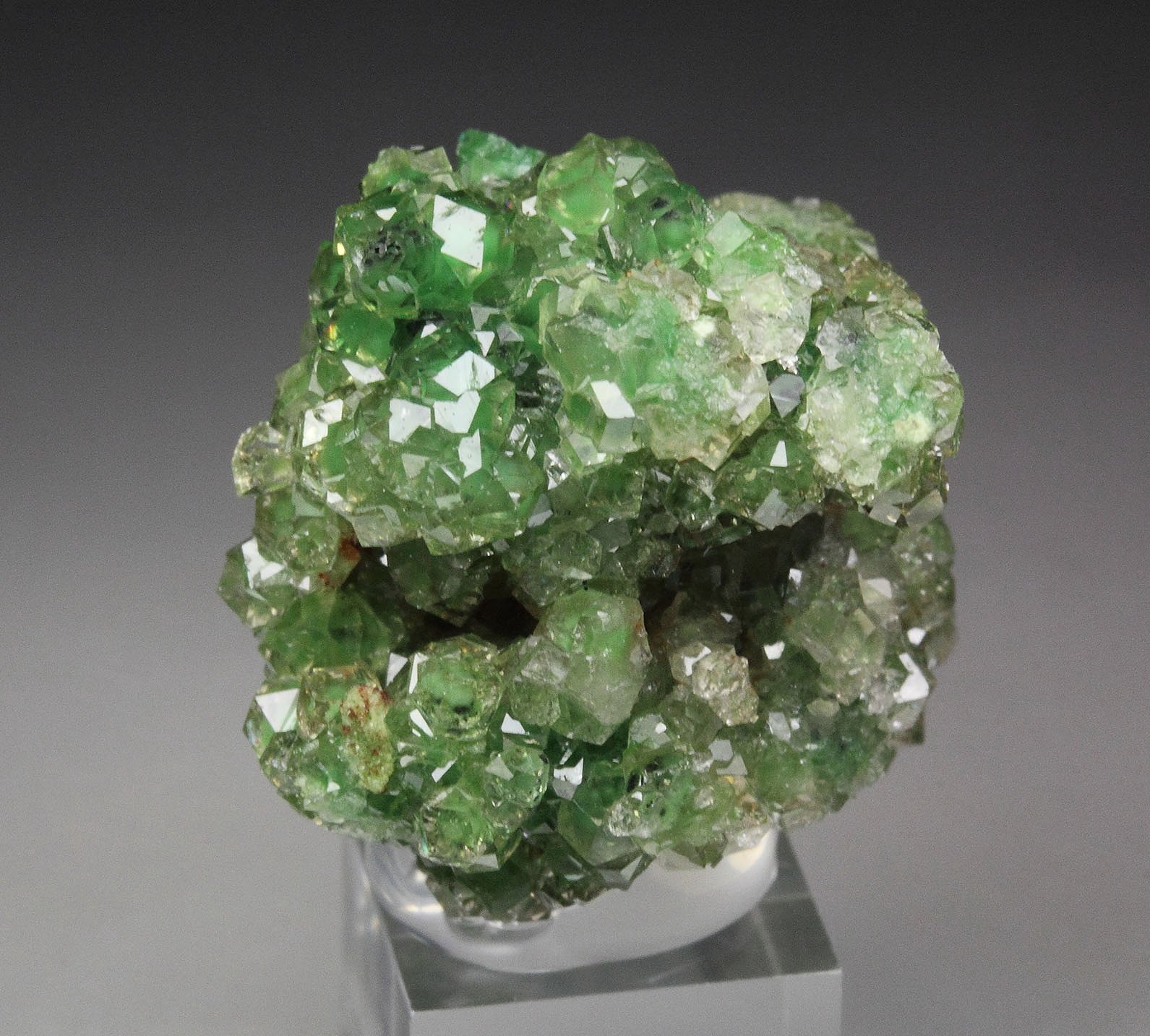 gem GARNET var. GROSSULAR with GREEN CHROMIAN PHANTOMS, CHROMITE