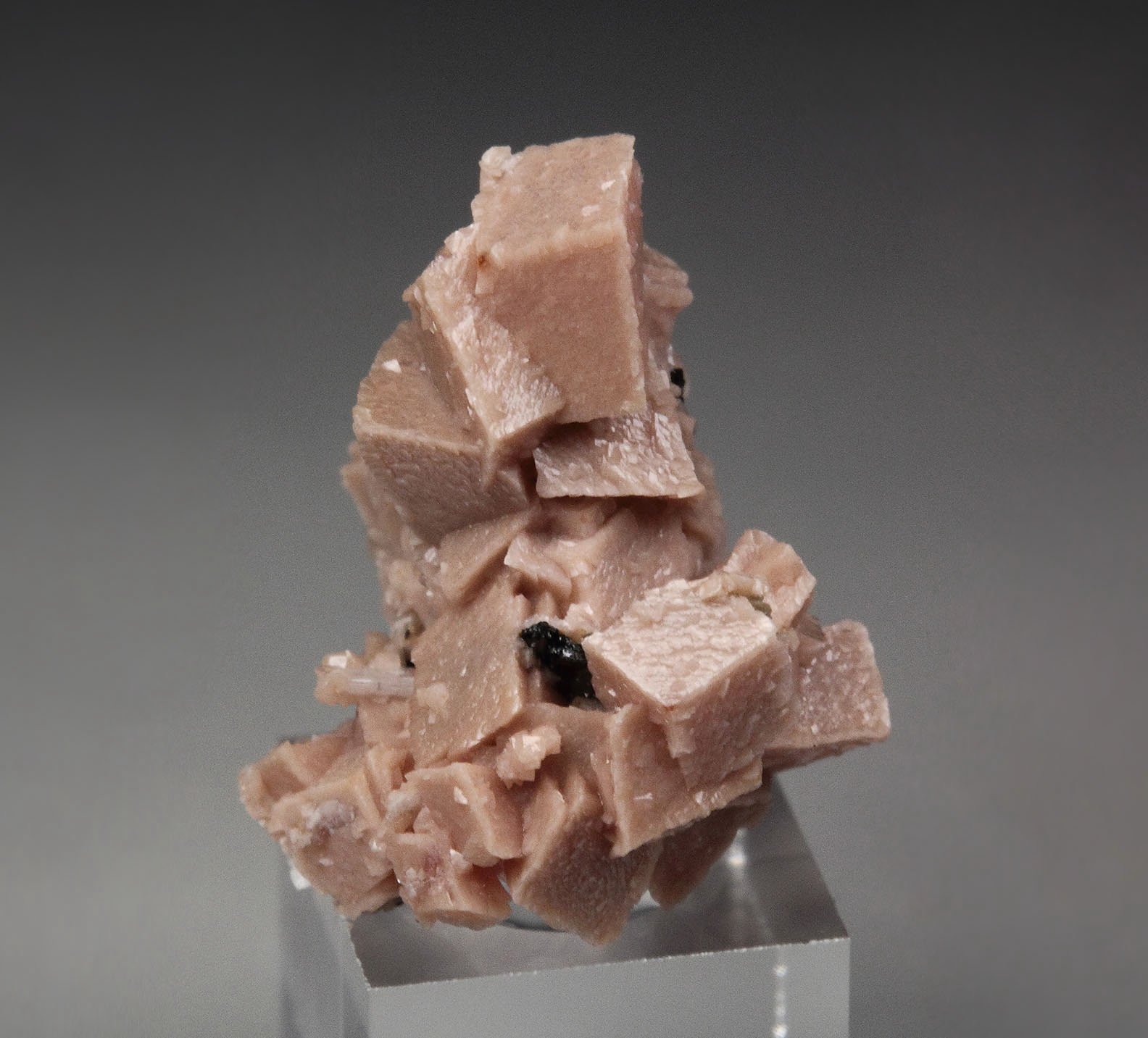 RHODOCHROSITE, AEGIRINE