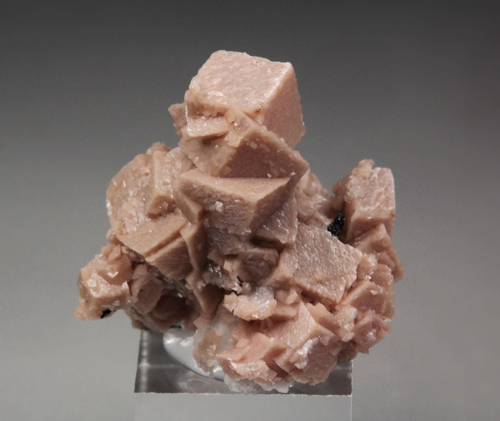 RHODOCHROSITE, AEGIRINE