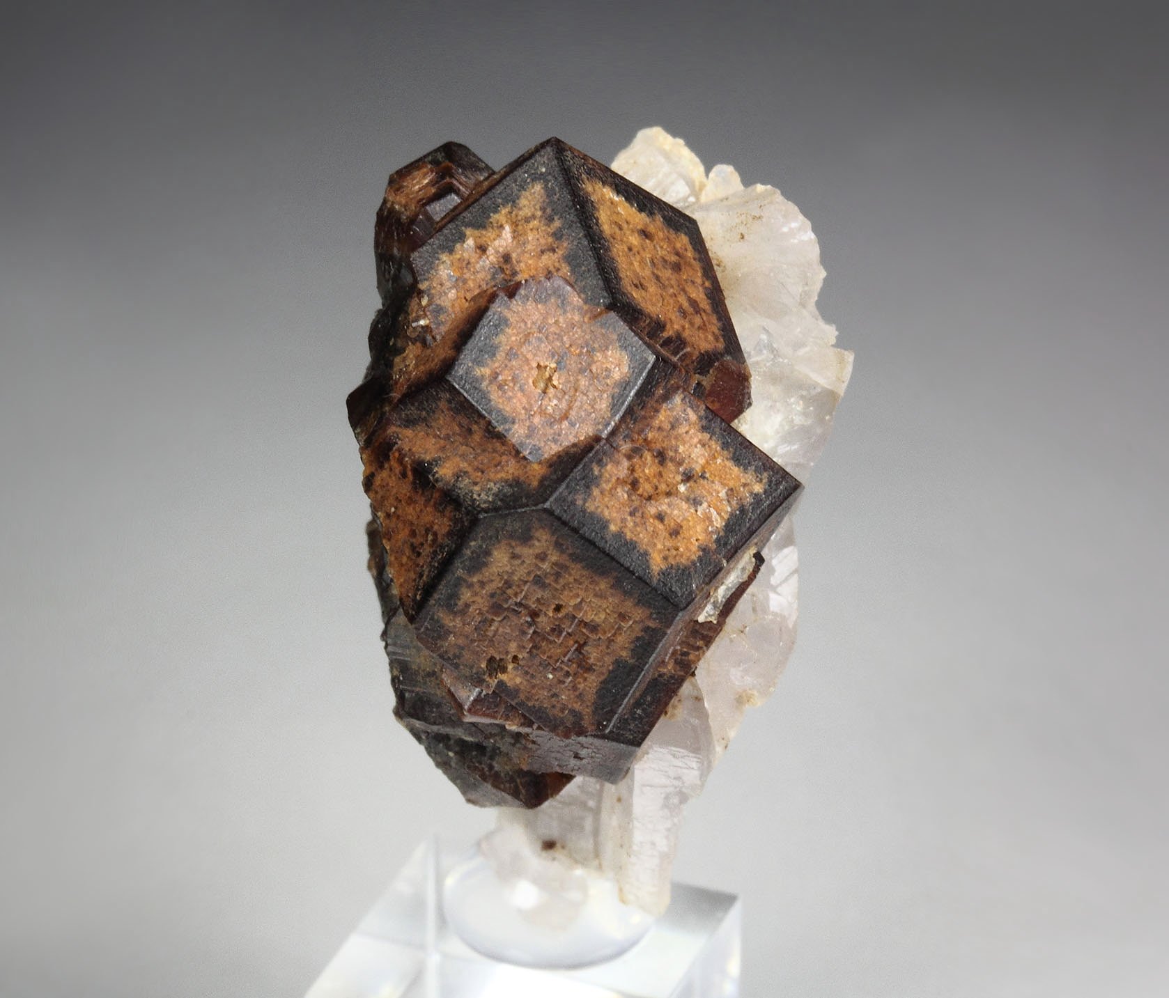 GARNET var. ANDRADITE