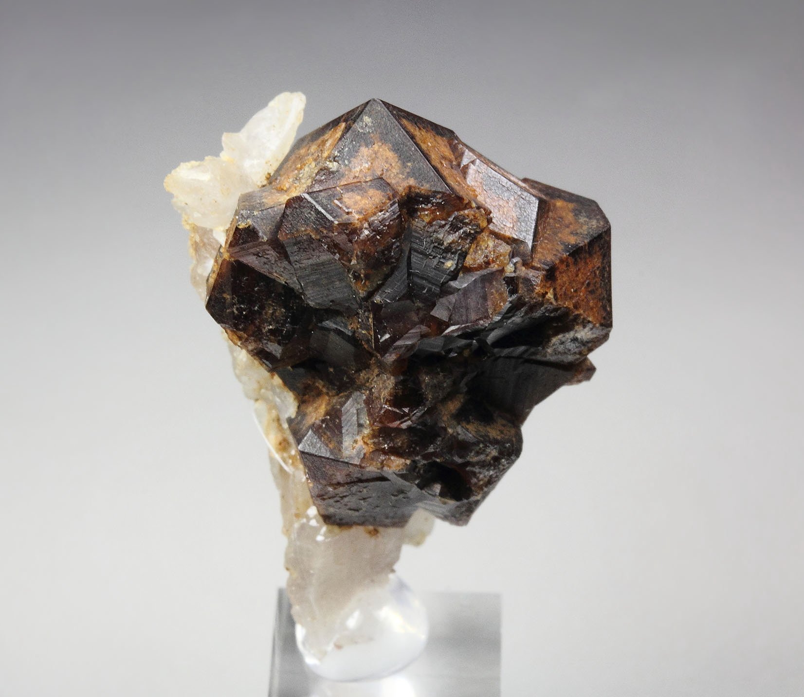 GARNET var. ANDRADITE