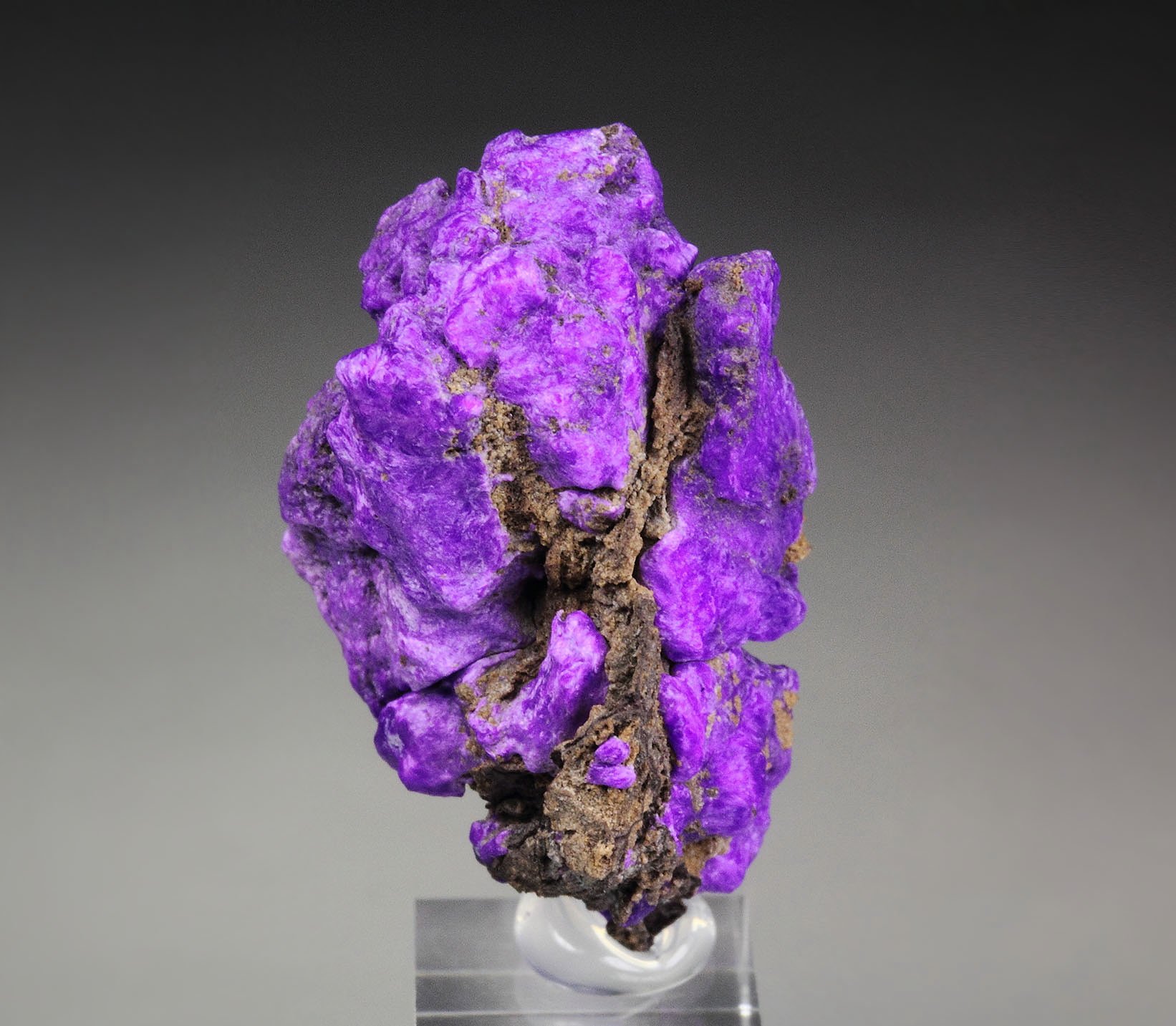 SUGILITE