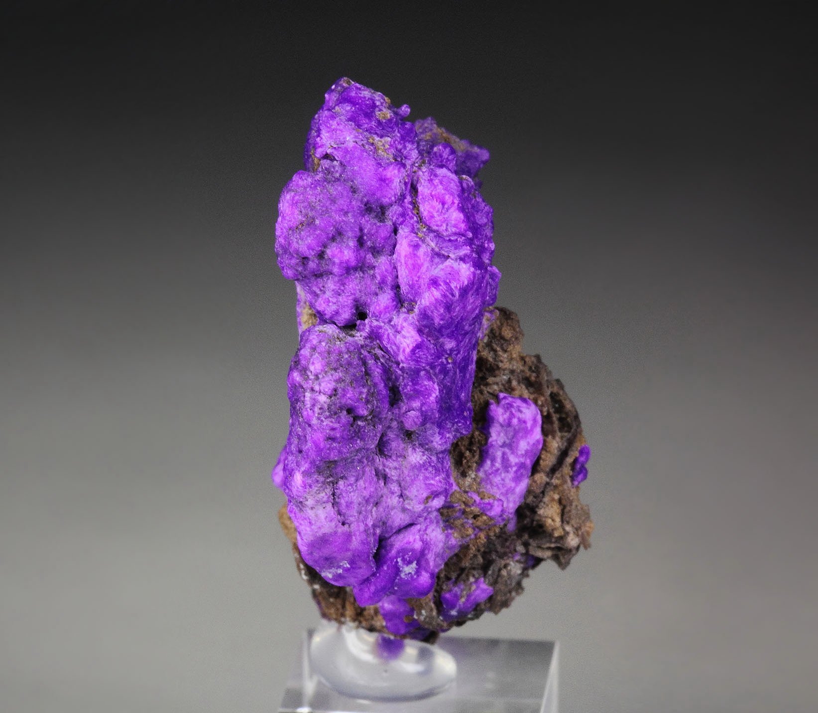 SUGILITE