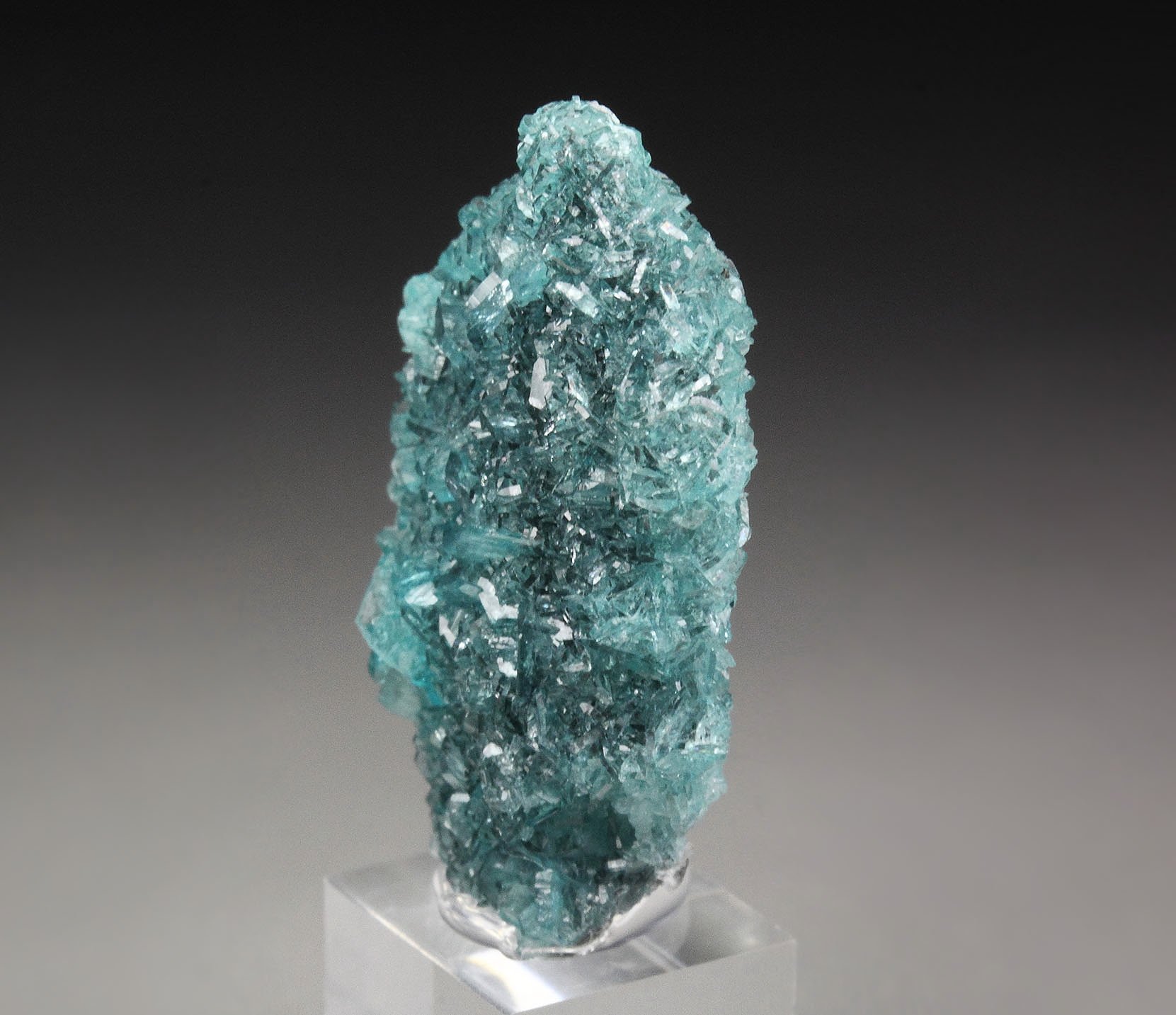 new find - gem BORCARITE