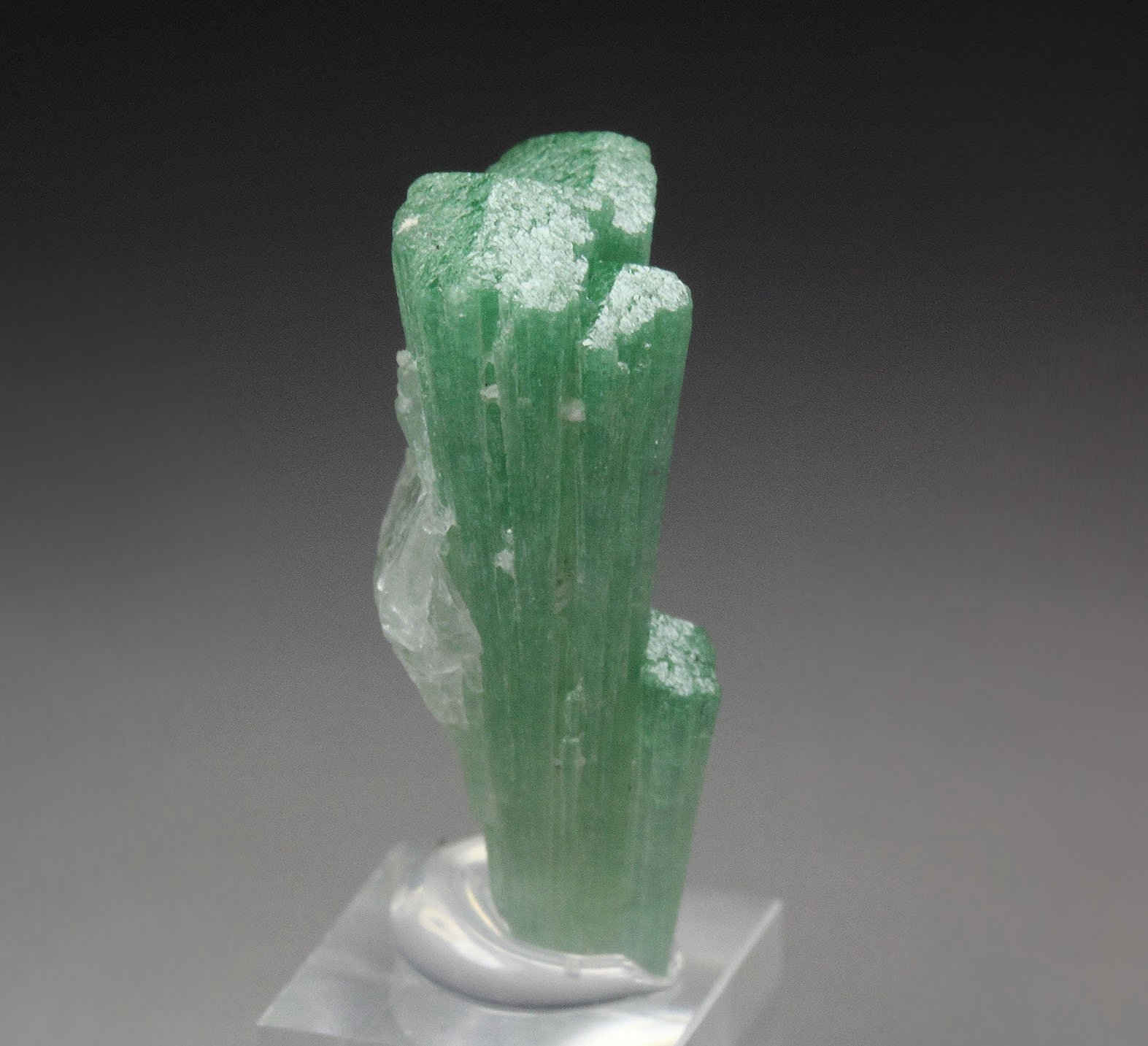 TOURMALINE var. CHROME TOURMALINE