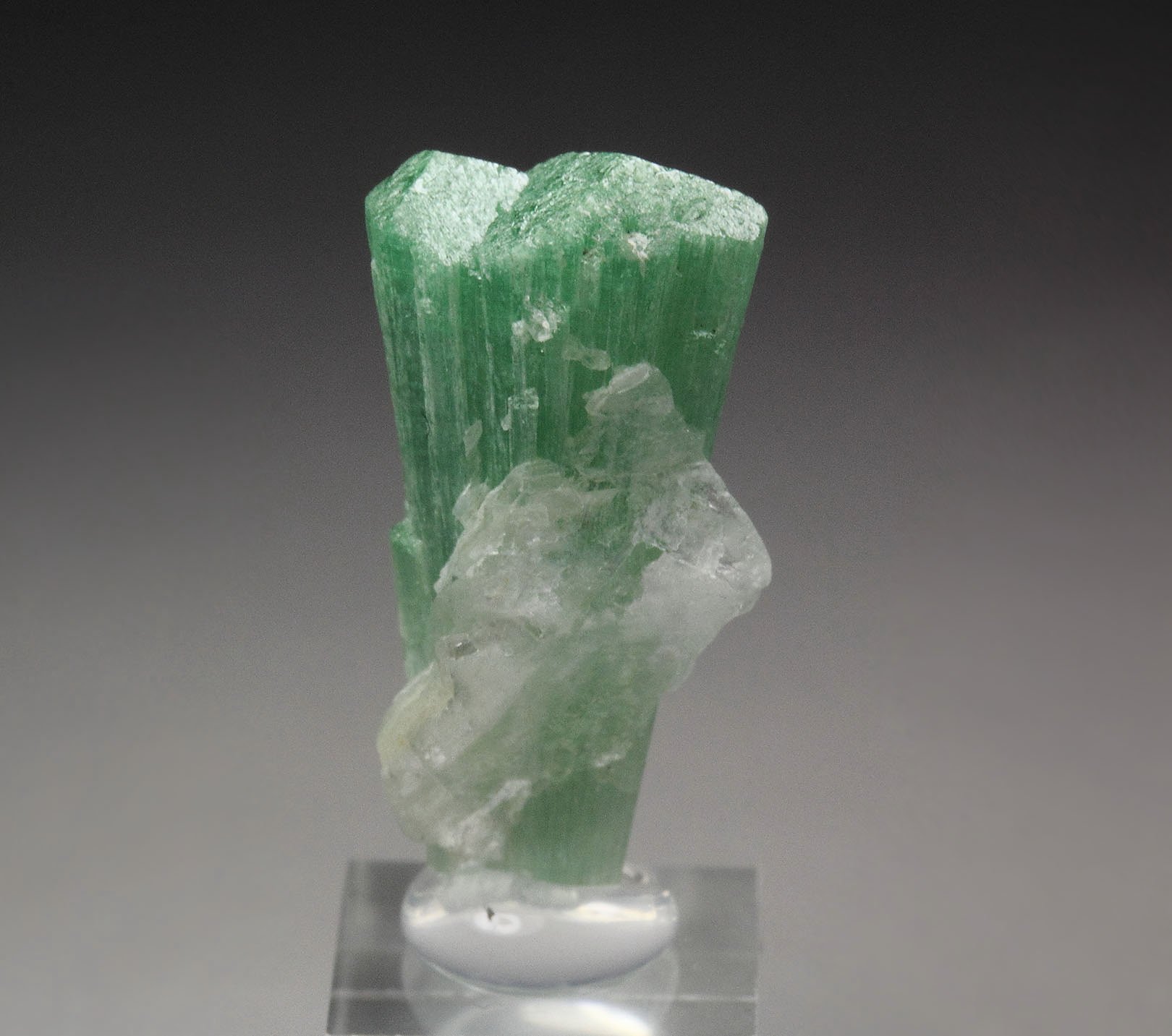 TOURMALINE var. CHROME TOURMALINE