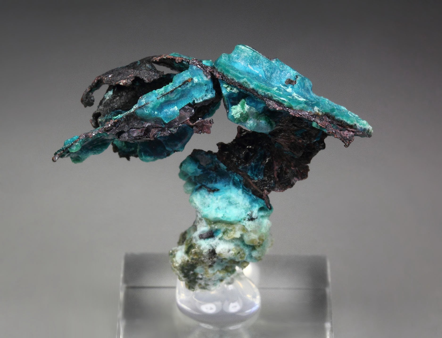 new find - CHRYSOCOLLA, COPPER