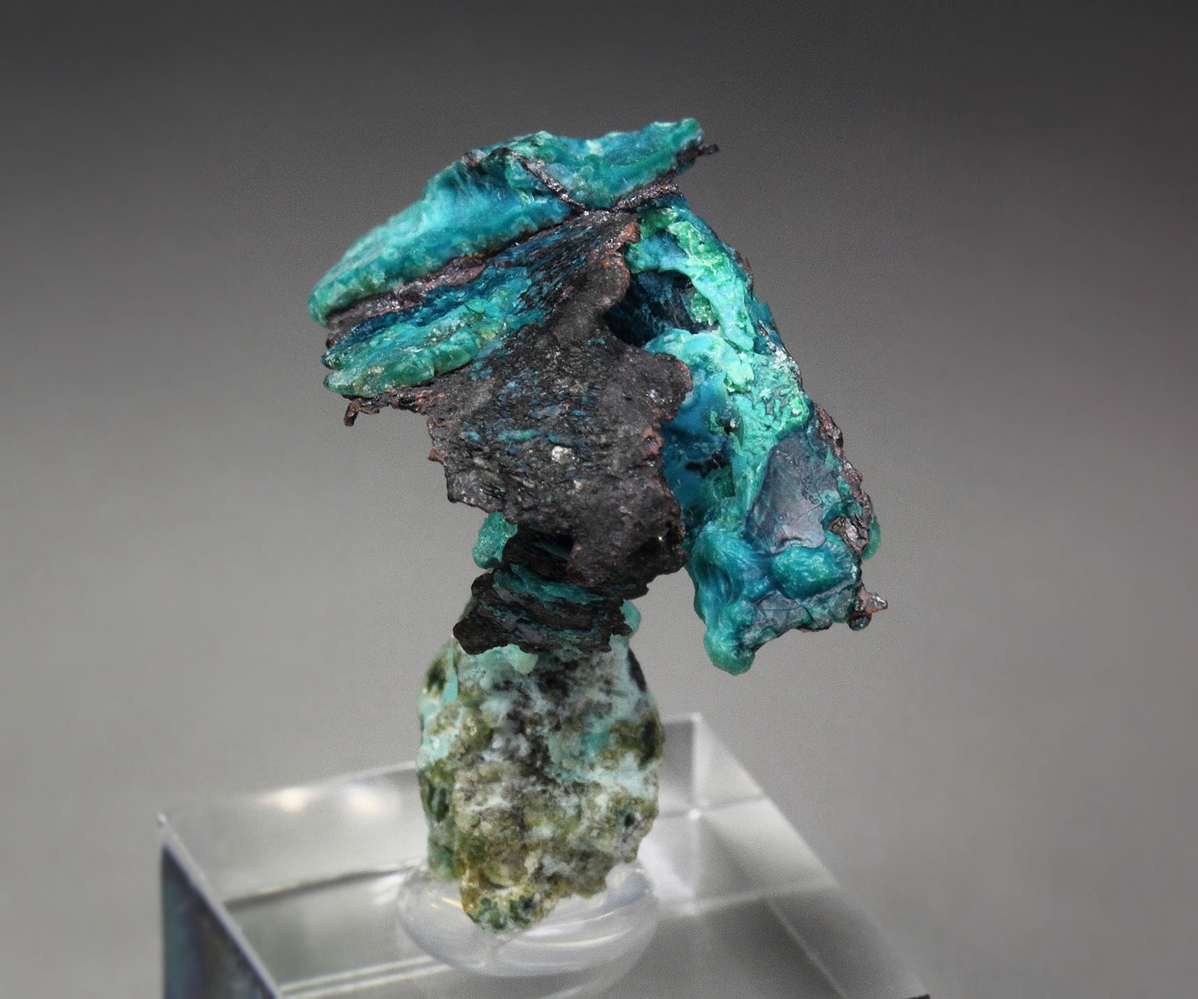 new find - CHRYSOCOLLA, COPPER