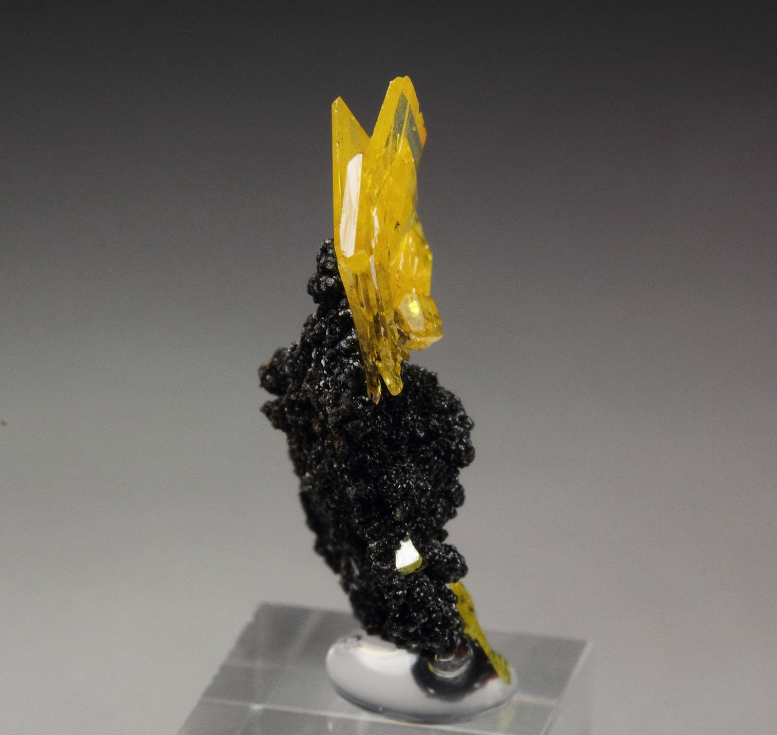 WULFENITE, MOTTRAMITE