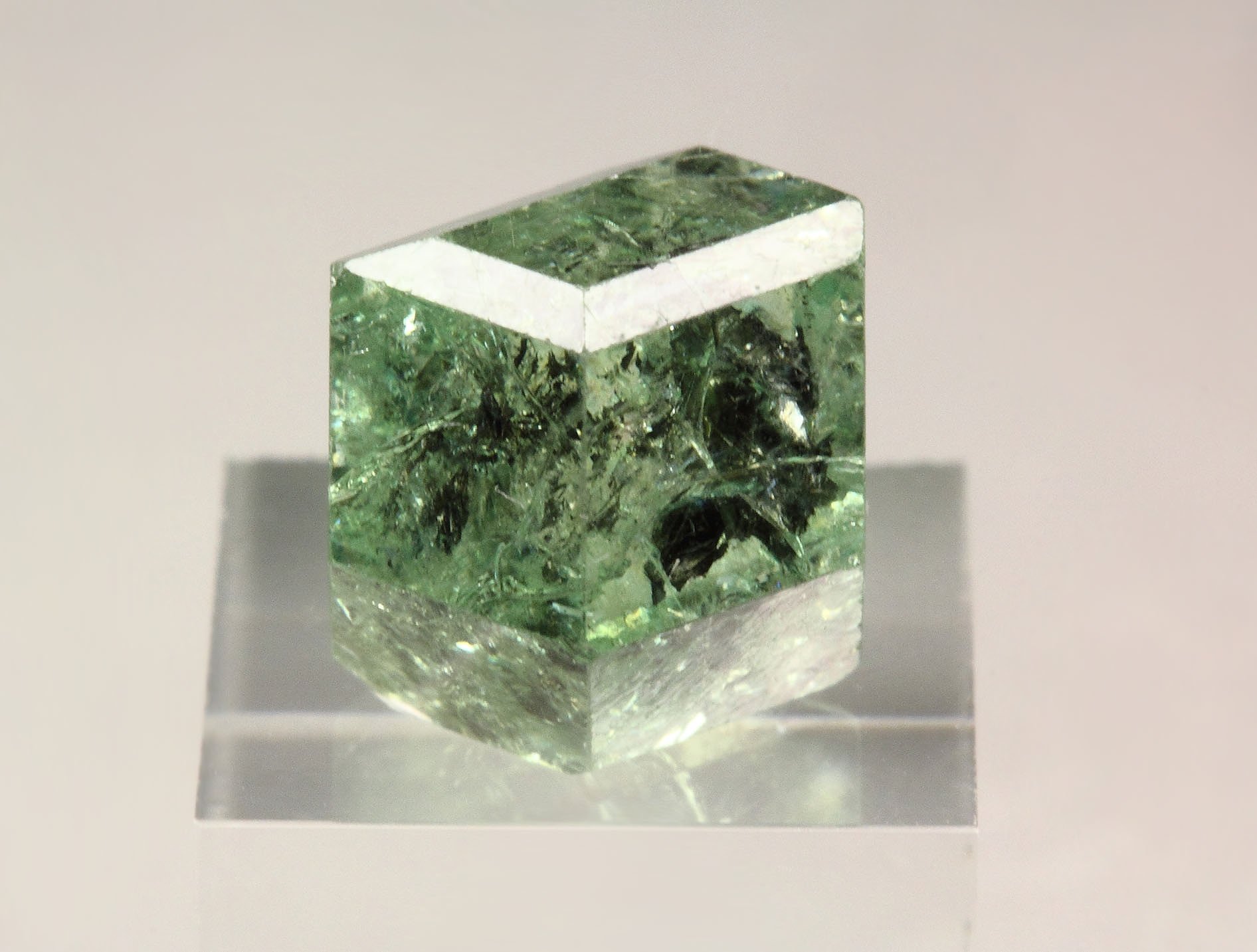 gem GARNET var. GROSSULAR var. TSAVORITE - floater