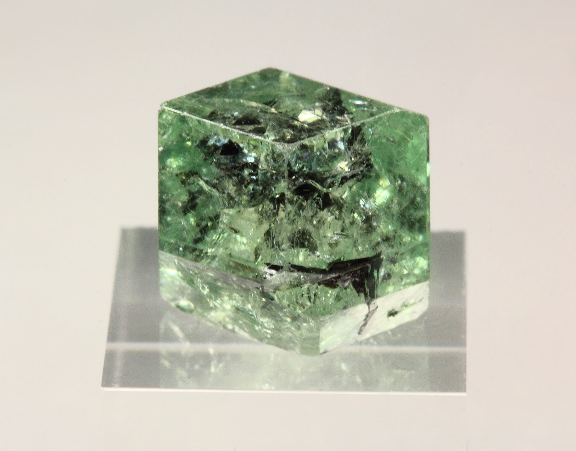 gem GARNET var. GROSSULAR var. TSAVORITE - floater