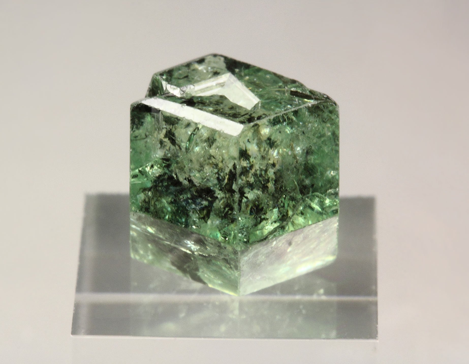 gem GARNET var. GROSSULAR var. TSAVORITE - floater