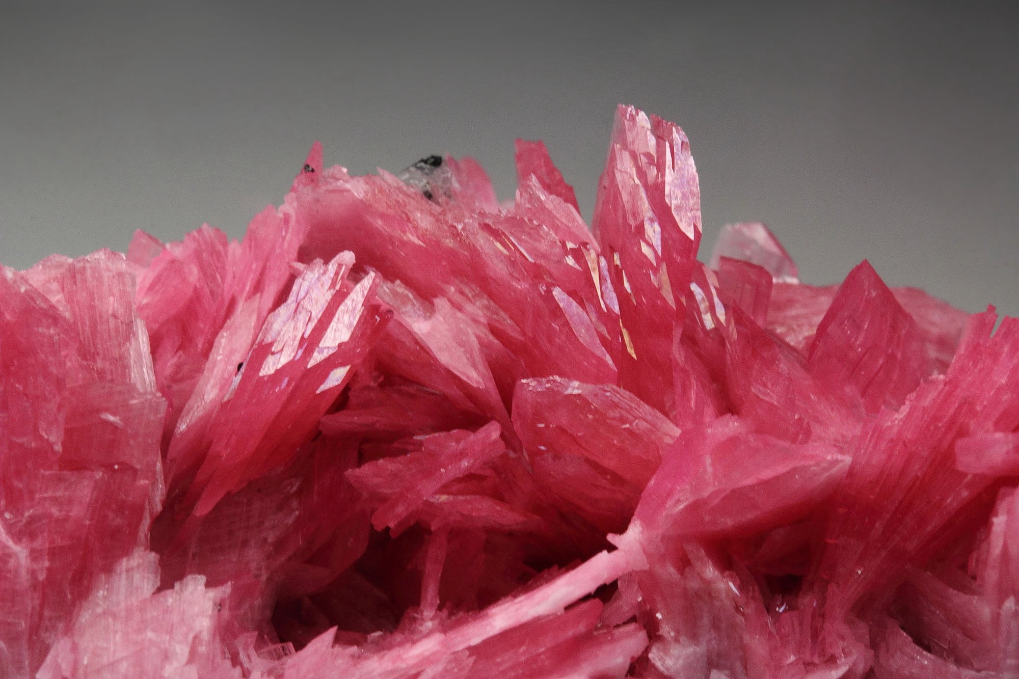 gemmy RHODONITE, CALCITE