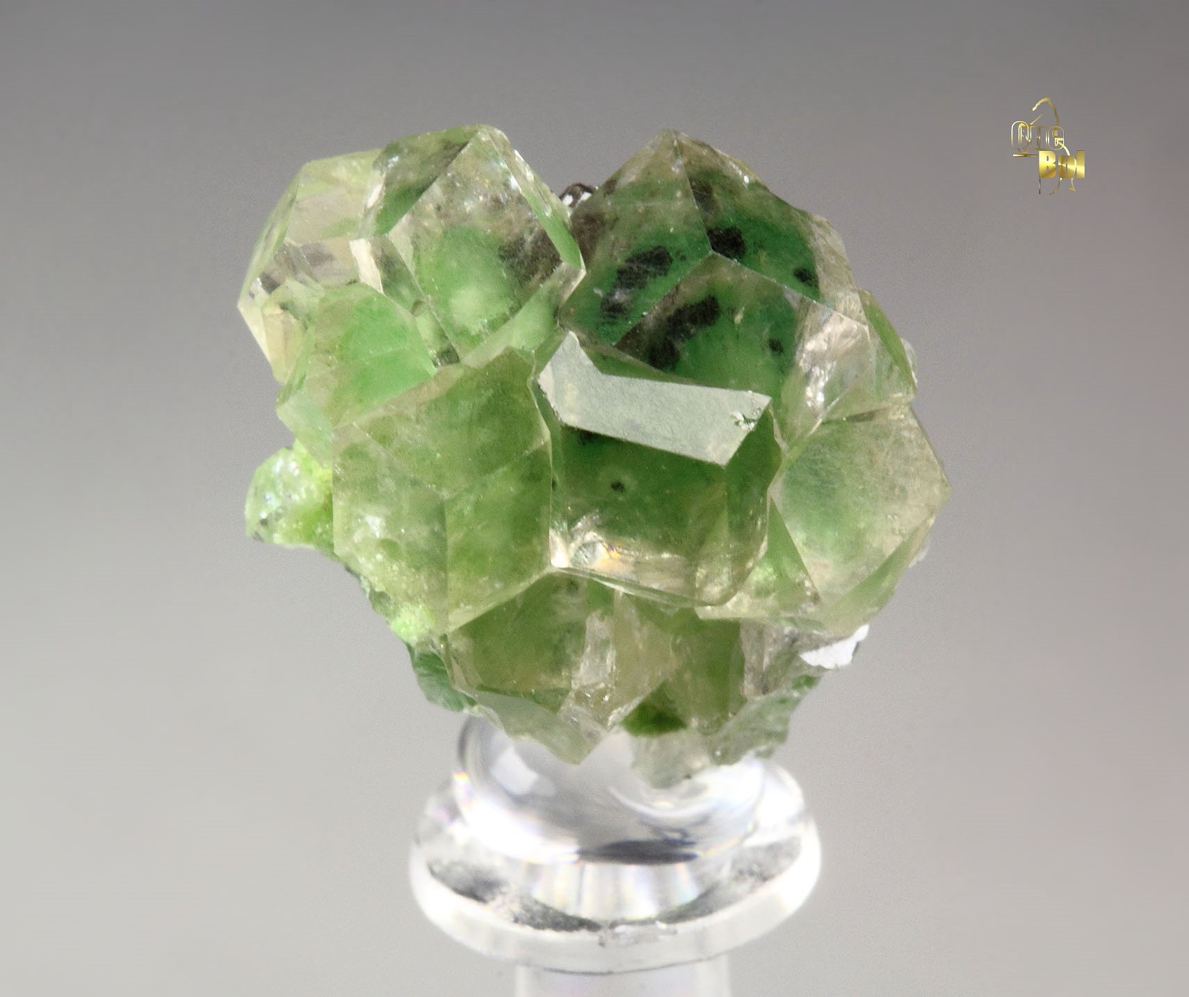 gem GARNET var. GROSSULAR with GREEN CHROMIAN PHANTOMS, CHROMITE