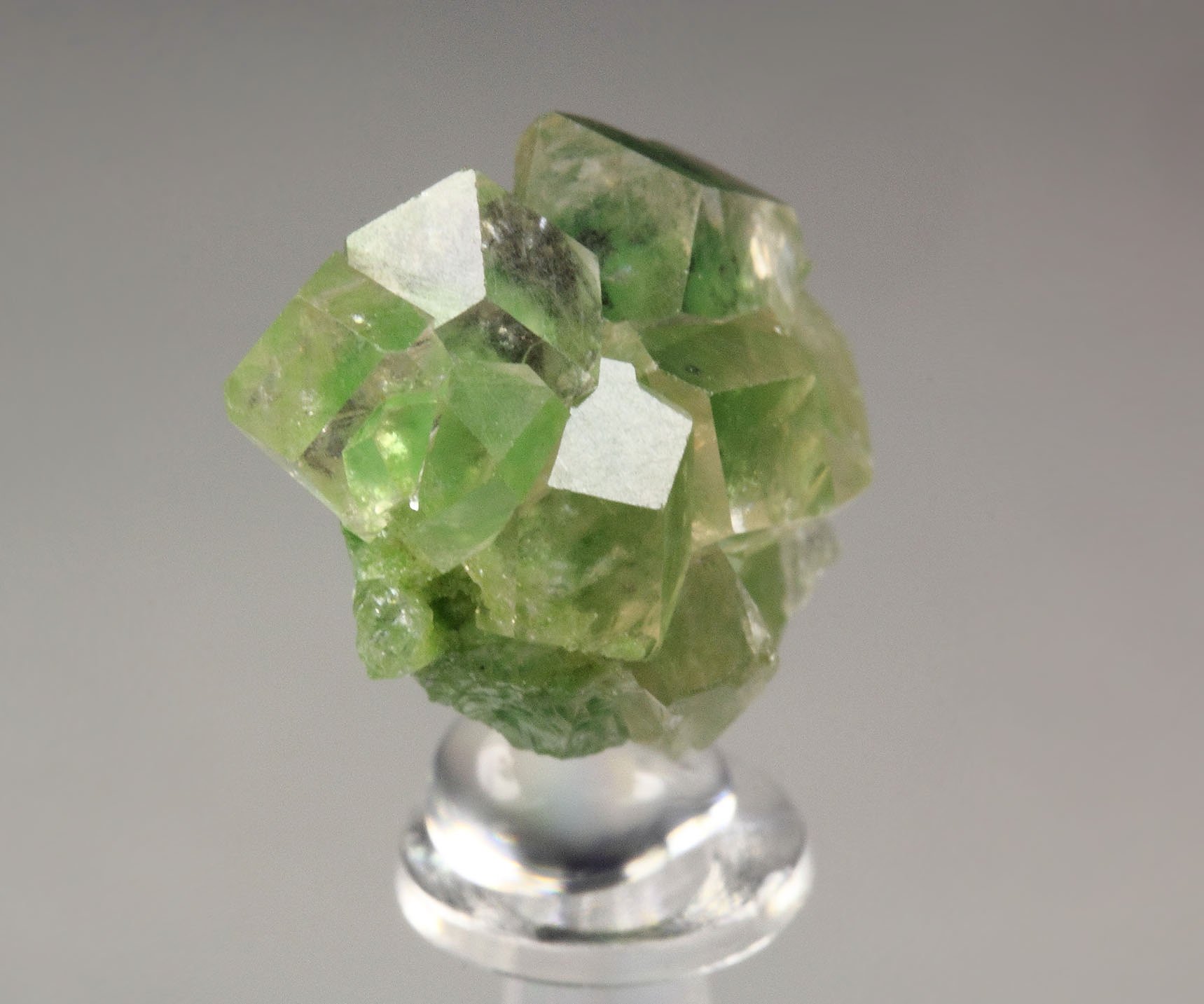 gem GARNET var. GROSSULAR with GREEN CHROMIAN PHANTOMS, CHROMITE