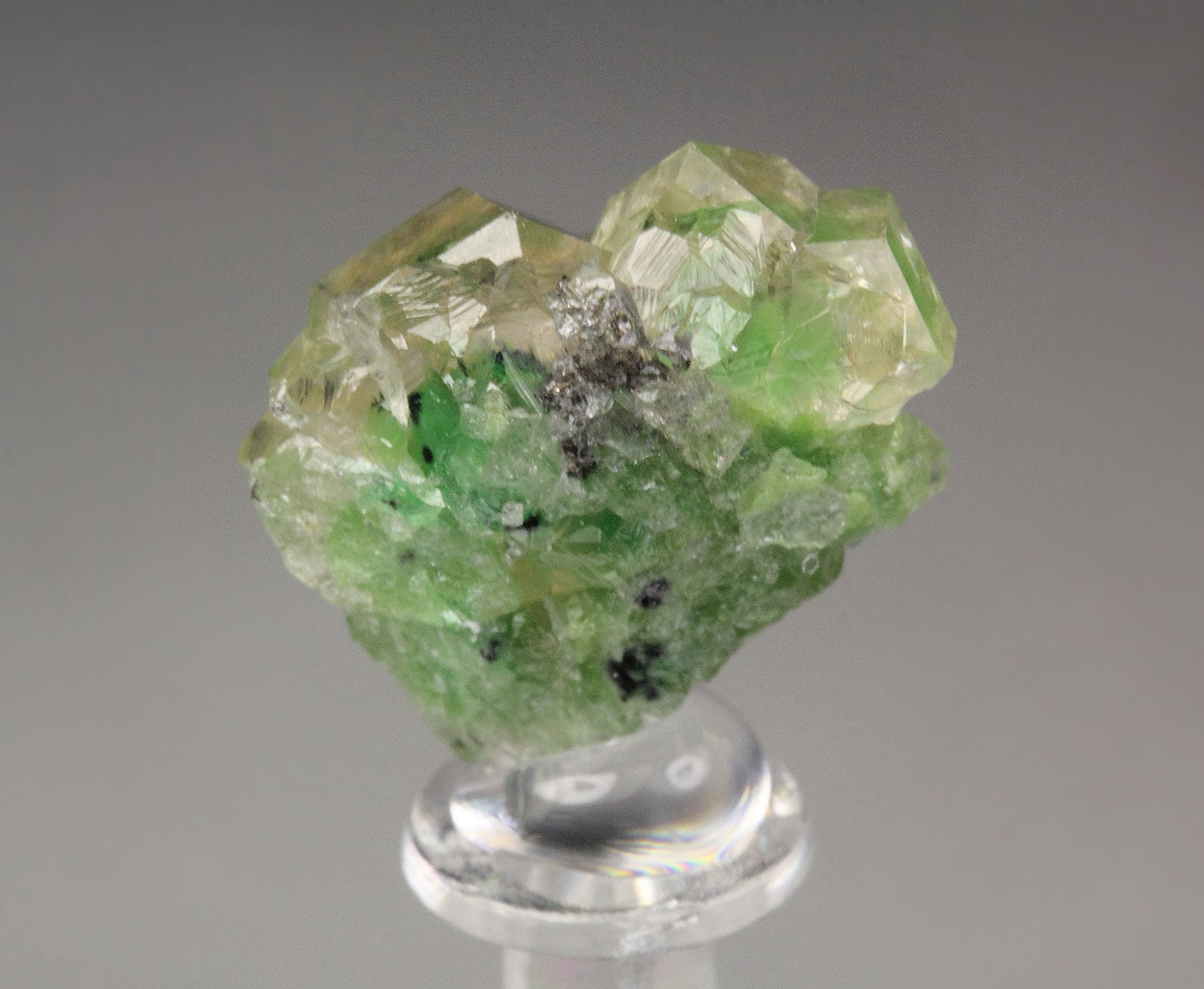 gem GARNET var. GROSSULAR with GREEN CHROMIAN PHANTOMS, CHROMITE