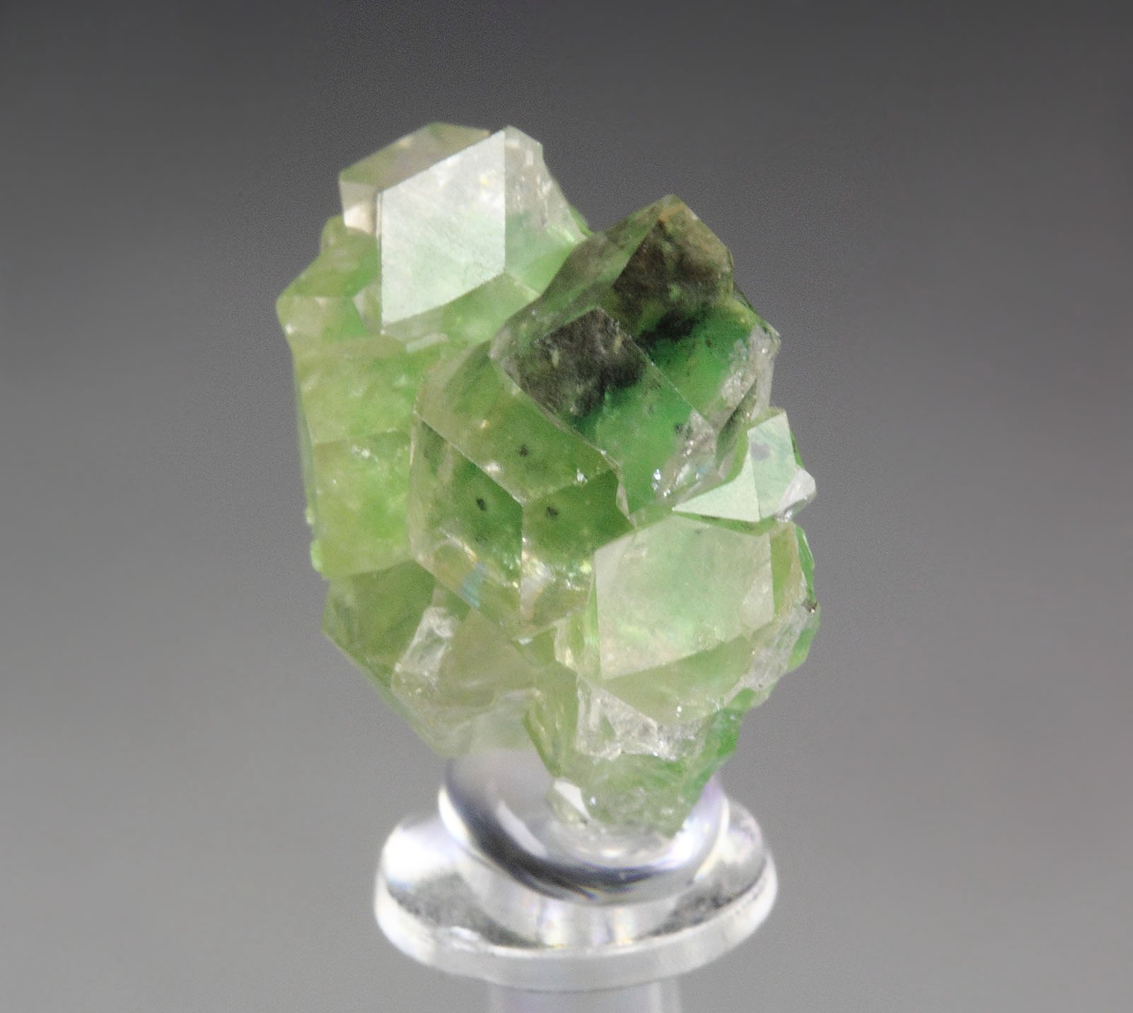 gem GARNET var. GROSSULAR with GREEN CHROMIAN PHANTOMS, CHROMITE