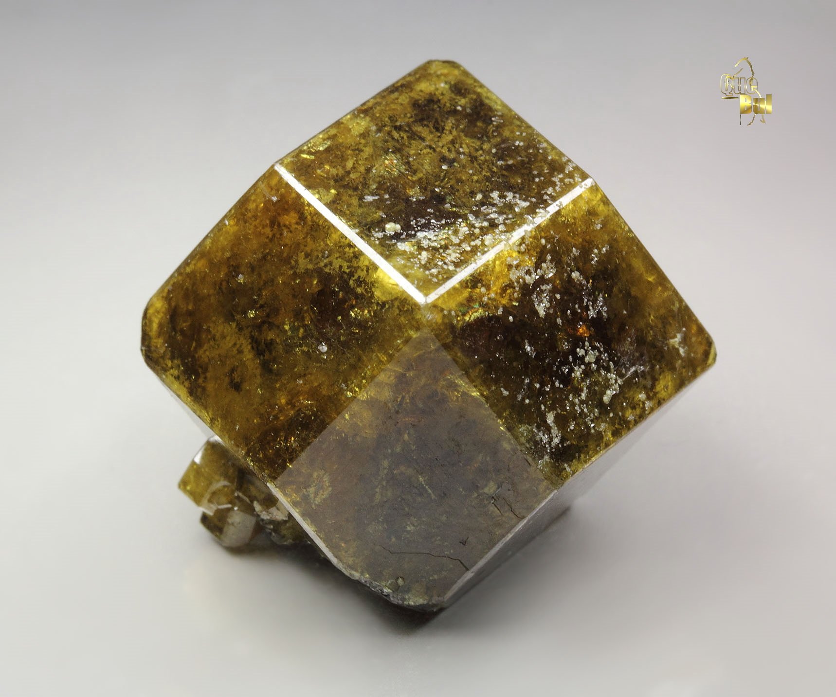 gemmy GARNET var. ANDRADITE