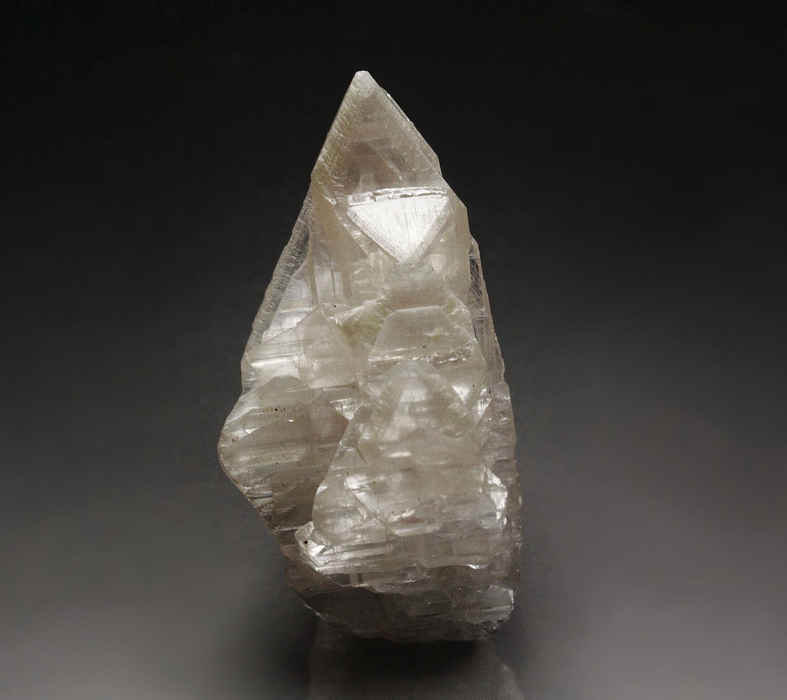 reticulated CERUSSITE