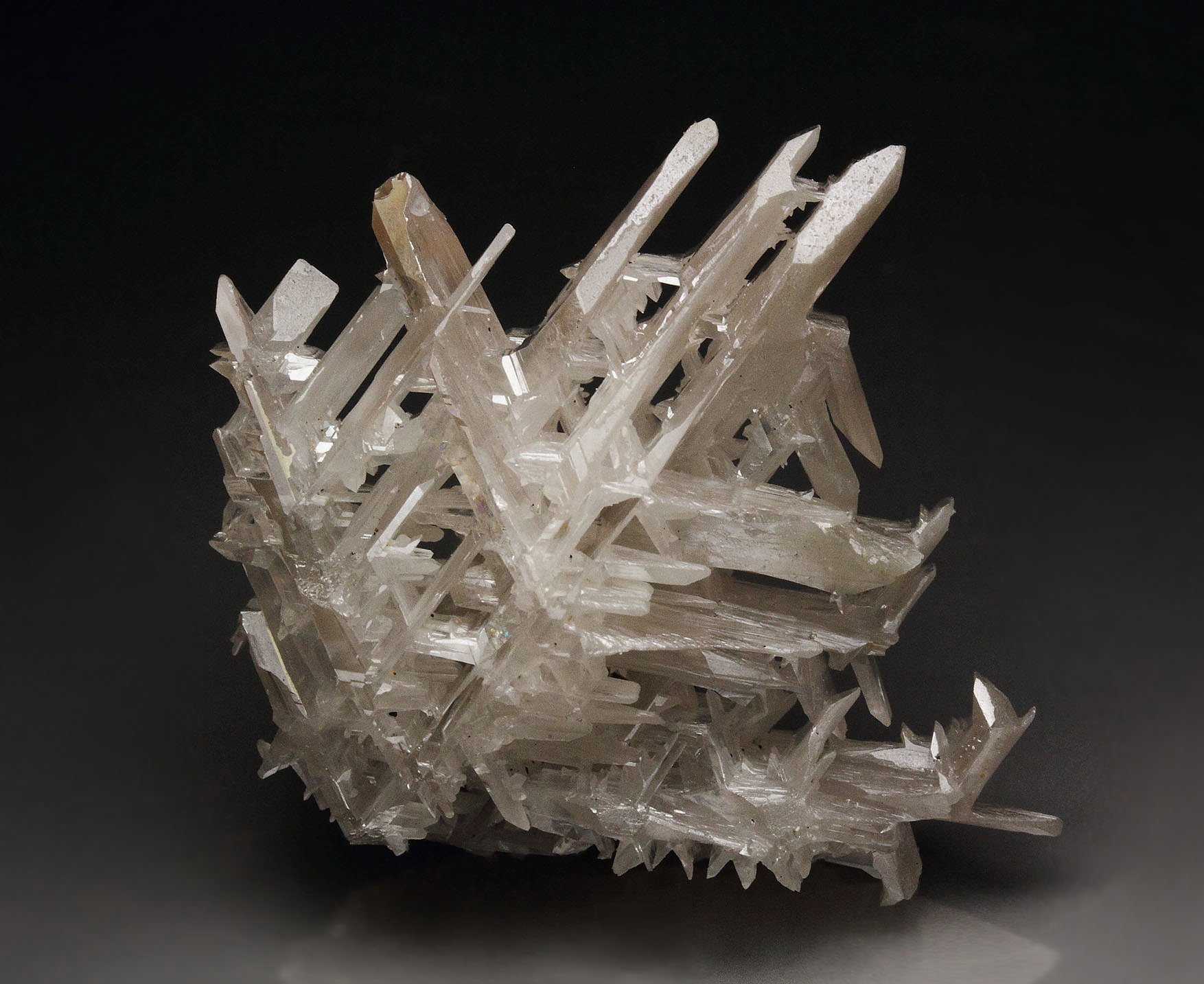 reticulated CERUSSITE