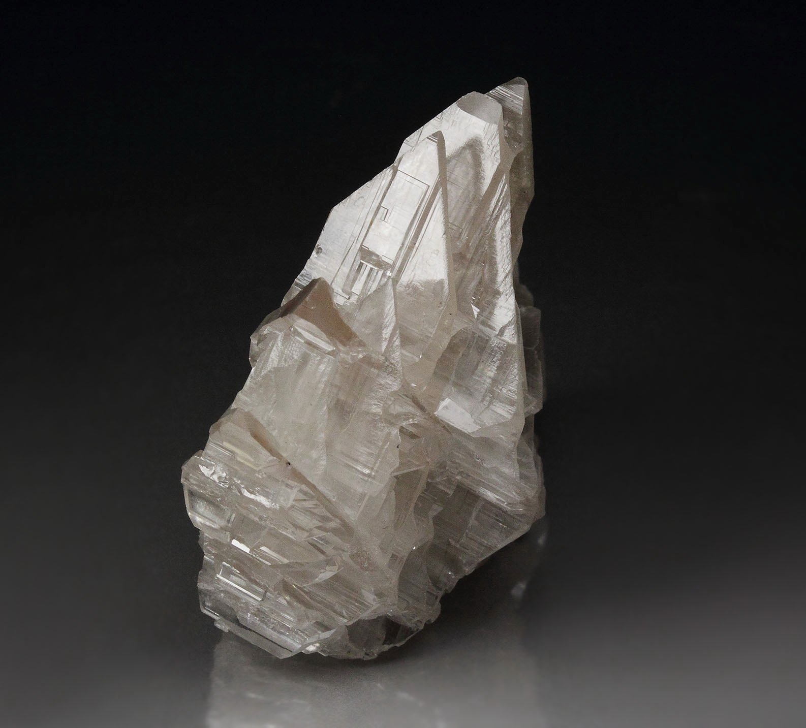 reticulated CERUSSITE