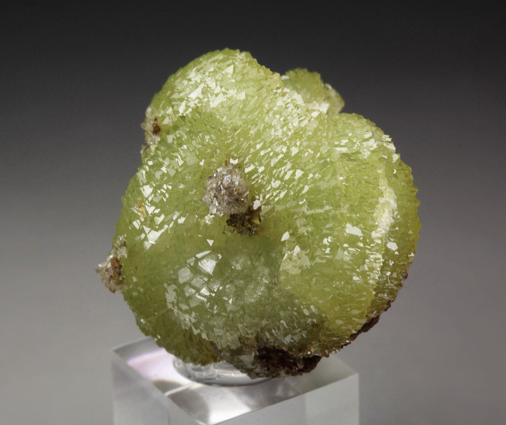 ADAMITE