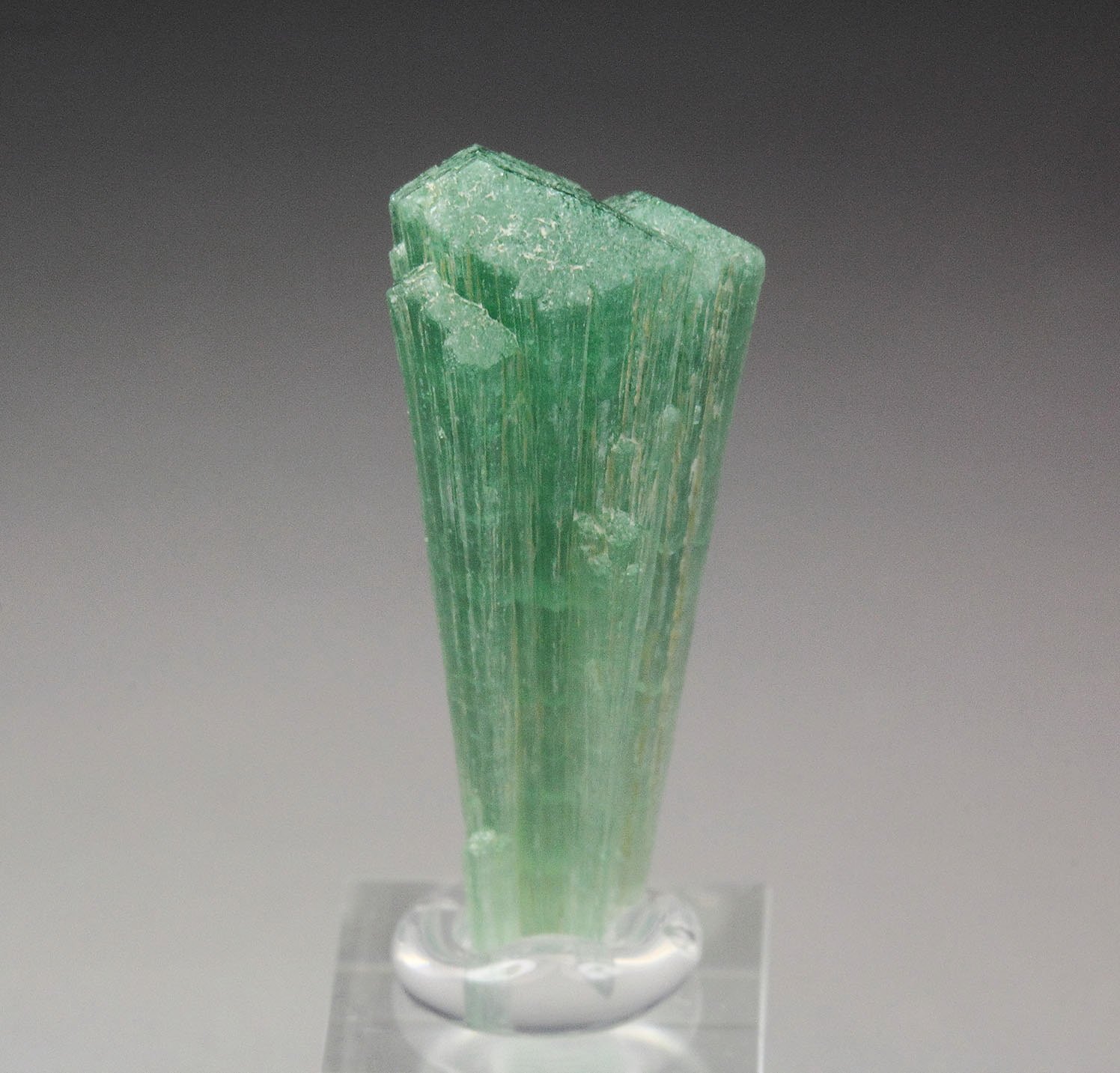 TOURMALINE var. CHROME TOURMALINE