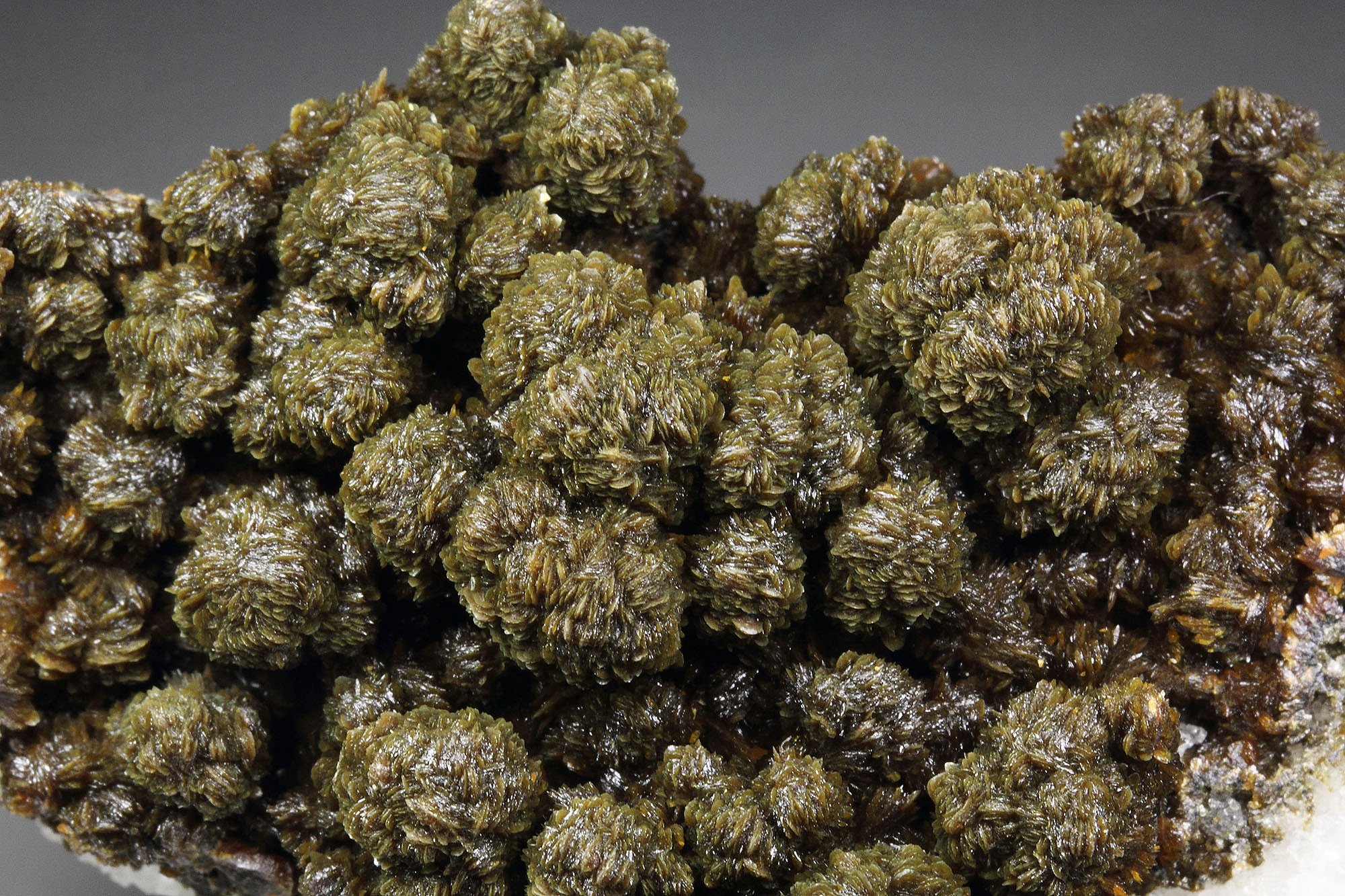 DESCLOIZITE