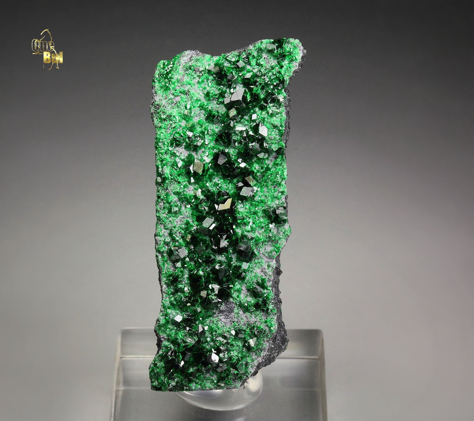 GARNET var. UVAROVITE