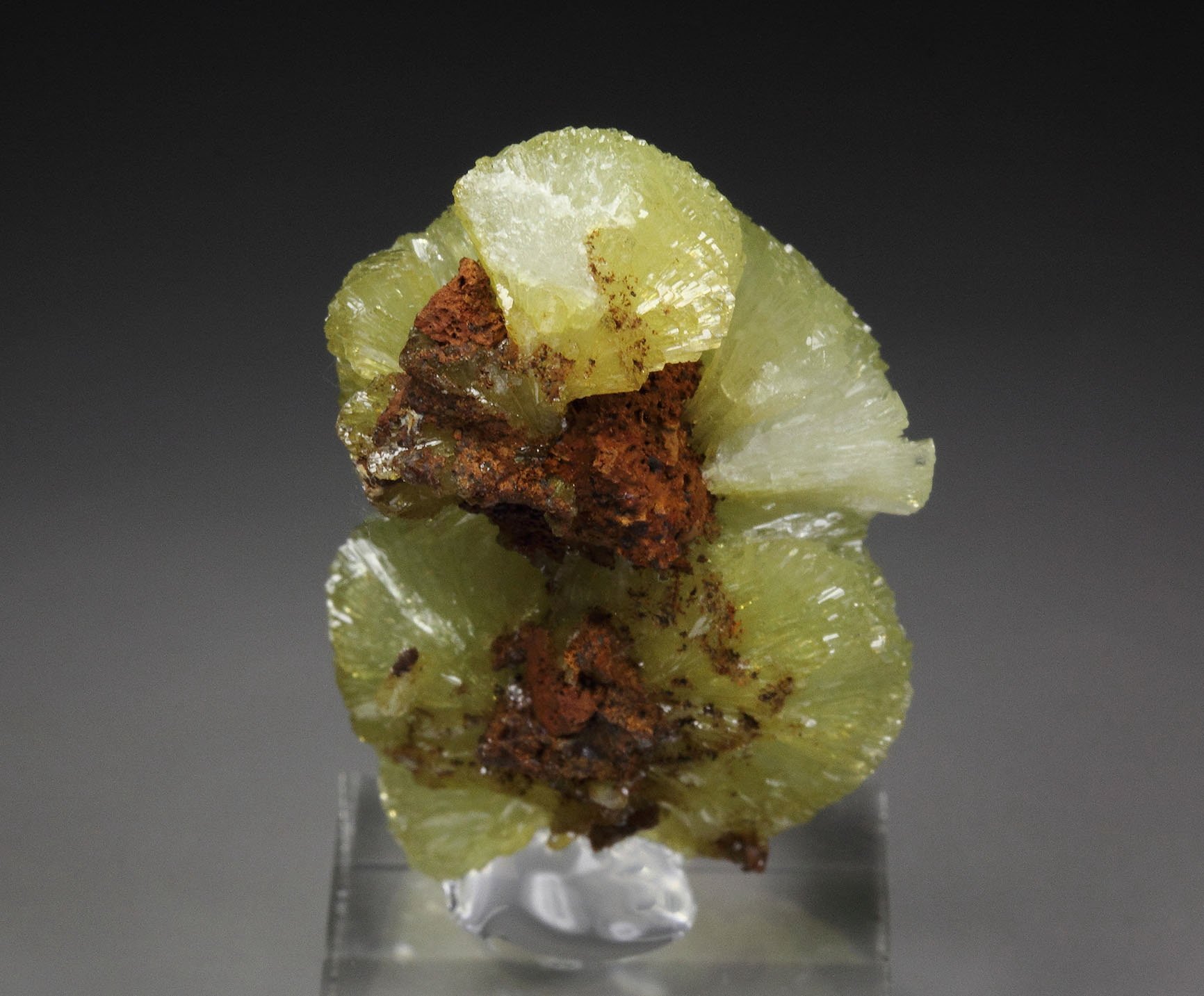 ADAMITE